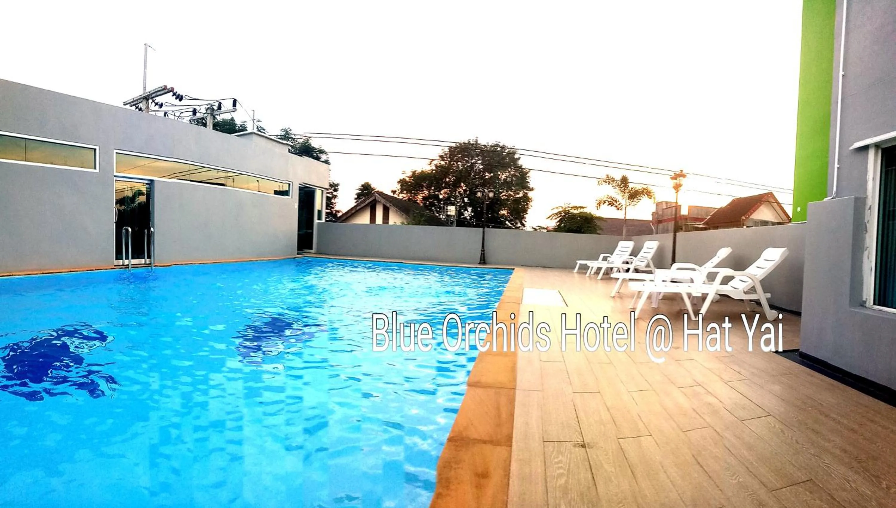 Swimming pool in Blue Orchids Hotel