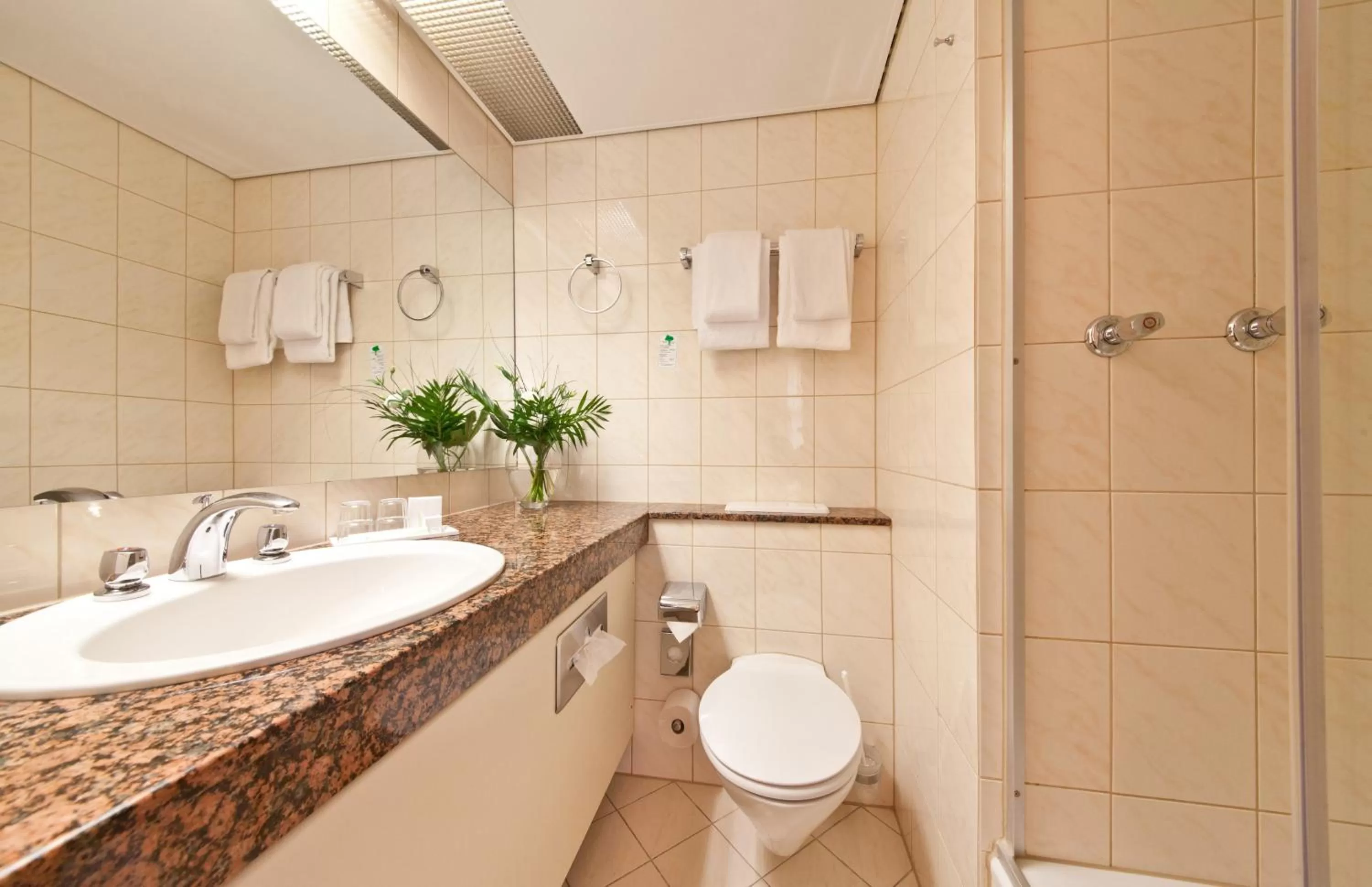 Standard Double Room in Hotel Madison