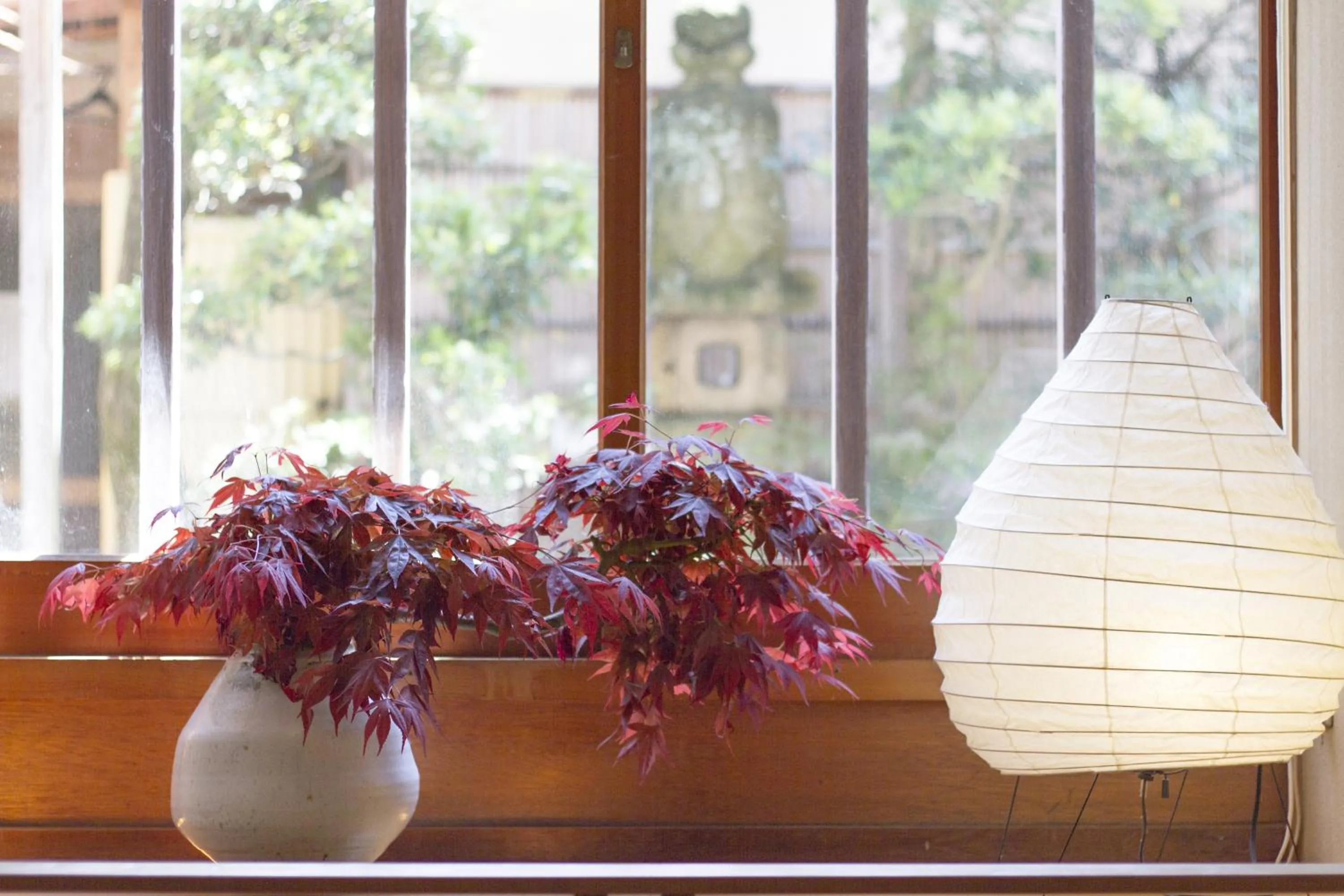 Area and facilities in Mikuniya