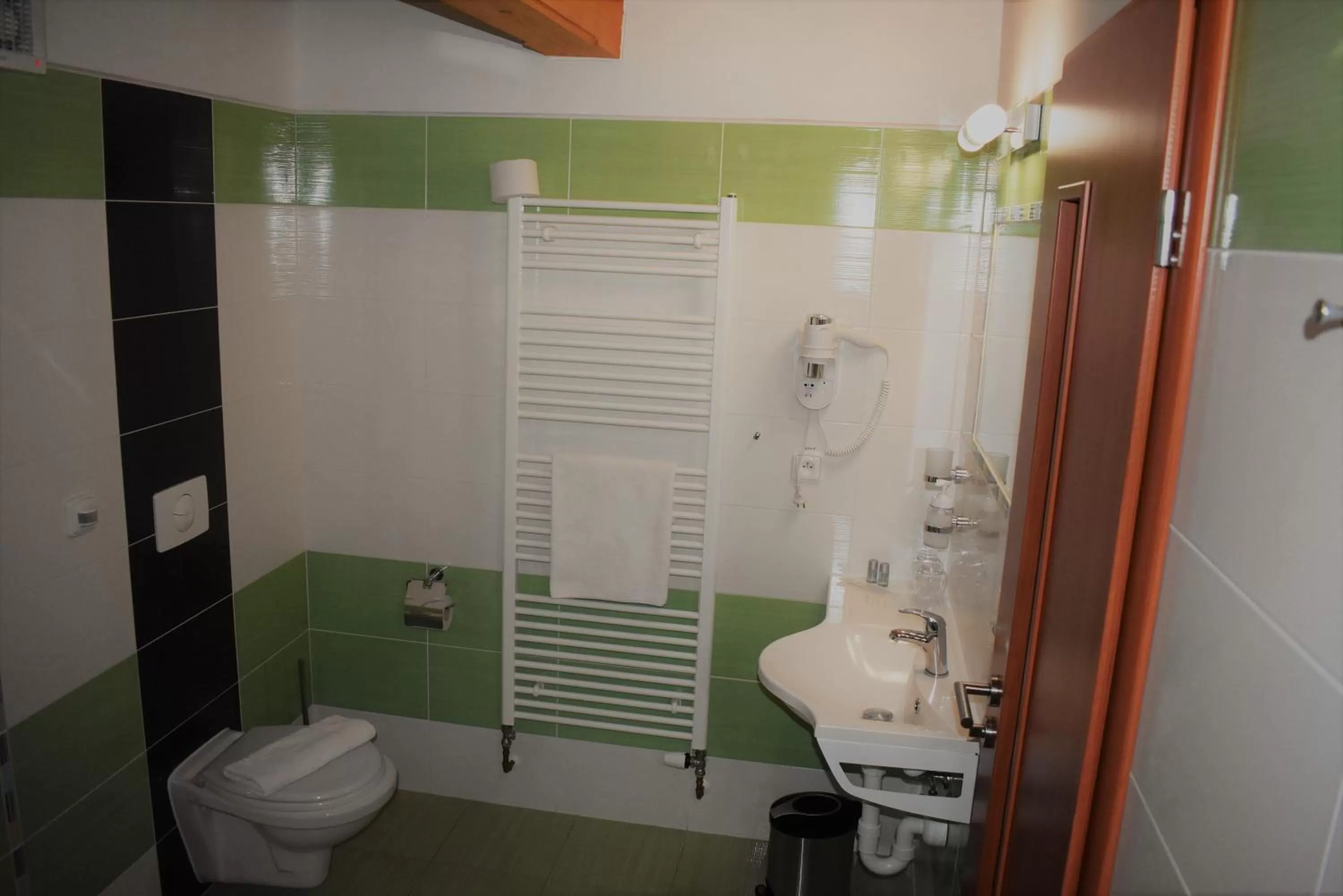 Bathroom in Motel Roubenka