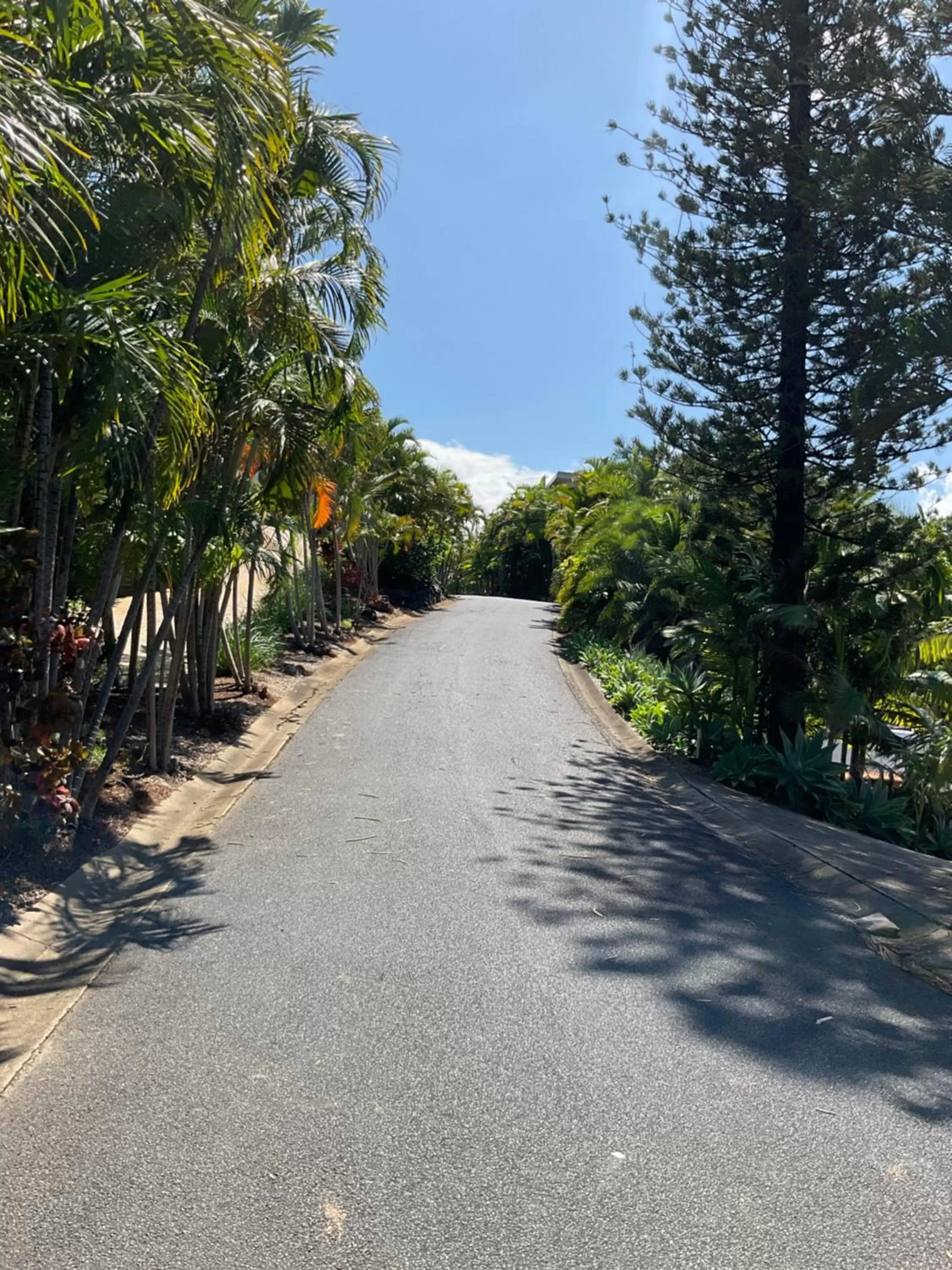 Private Suite Nautilus Beach Front Resort