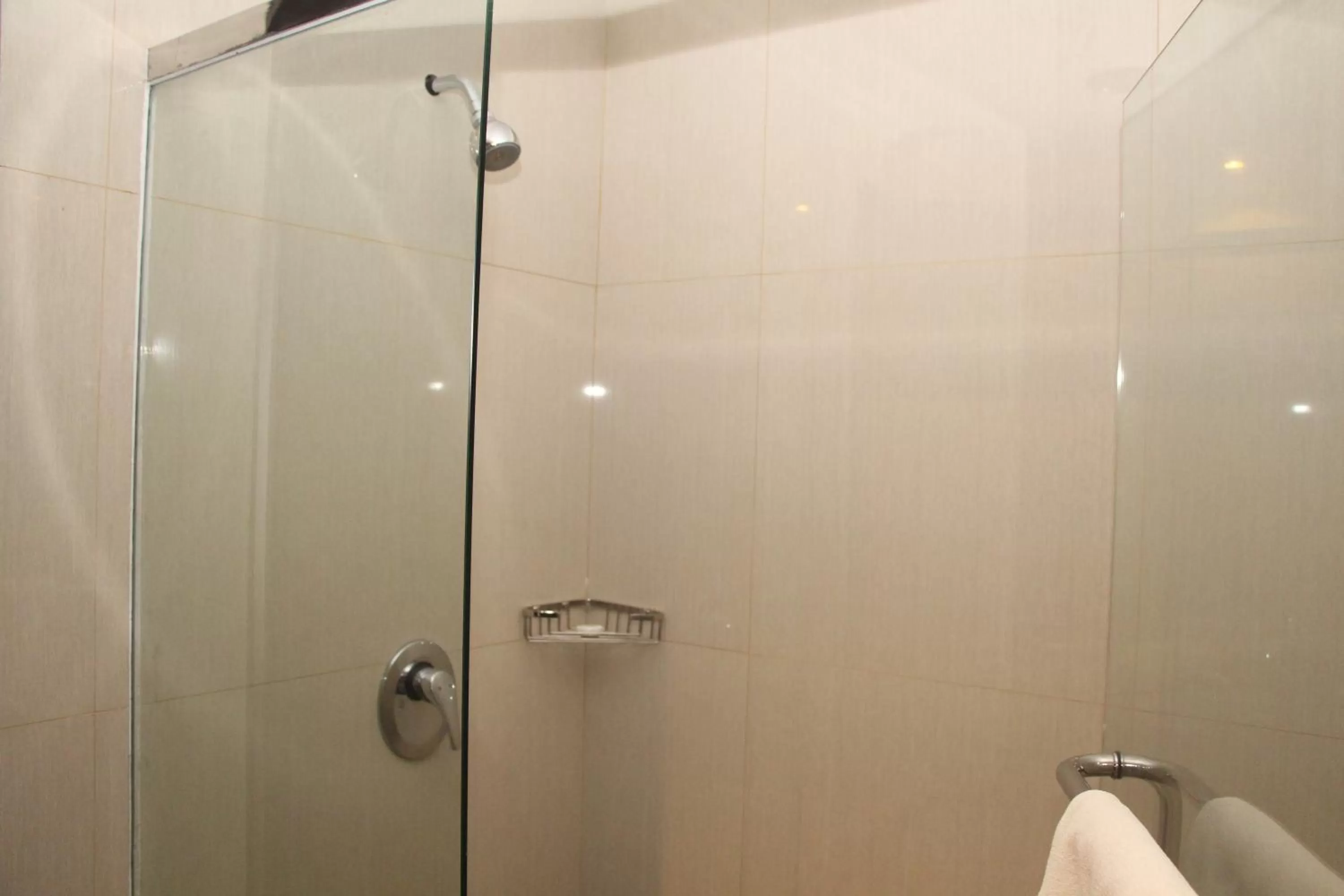 Shower in Swiss-Belhotel Borneo Samarinda