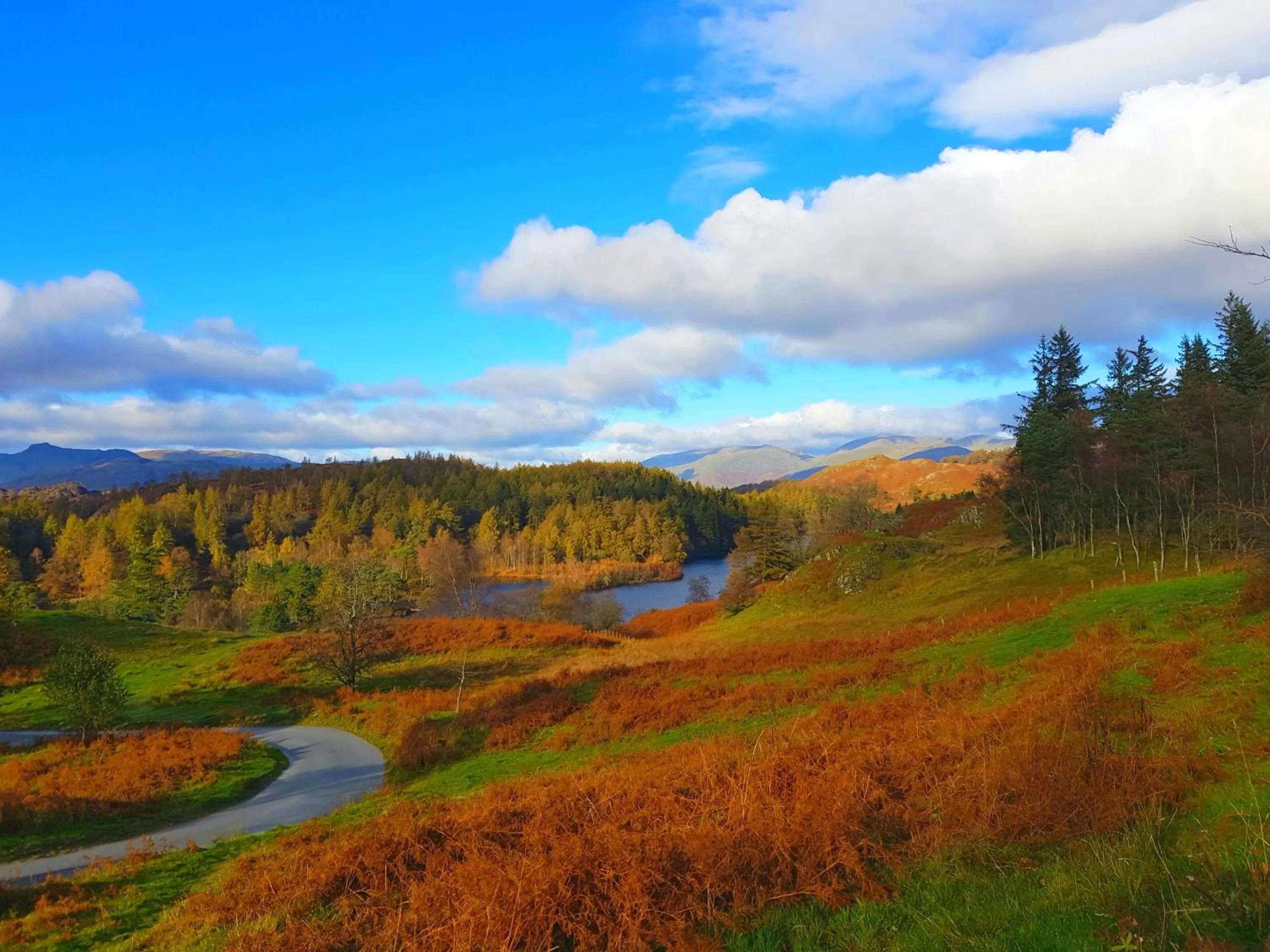 Natural Landscape in The Chetwynde Hotel