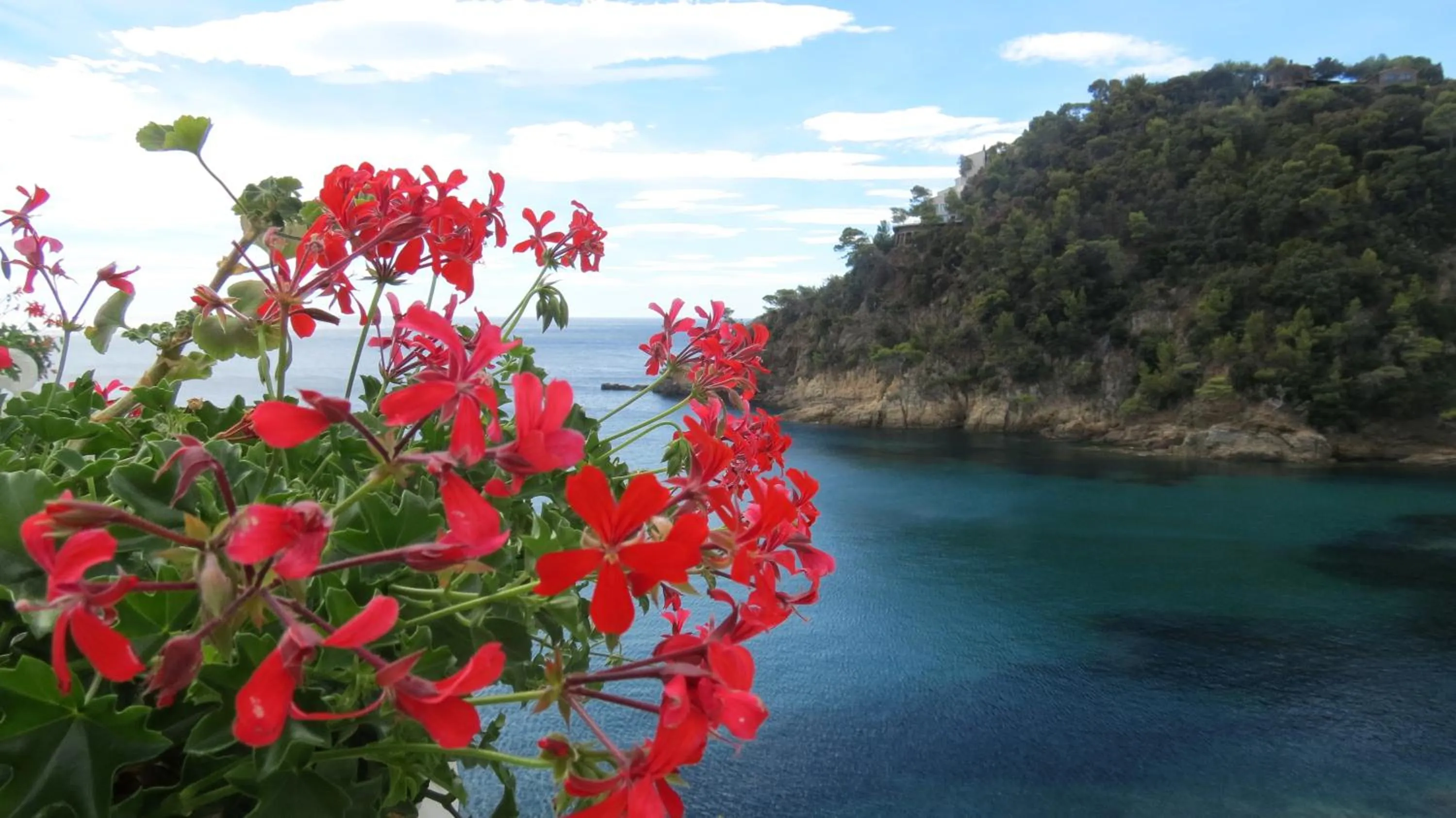 Natural landscape in Hotel La Calanque