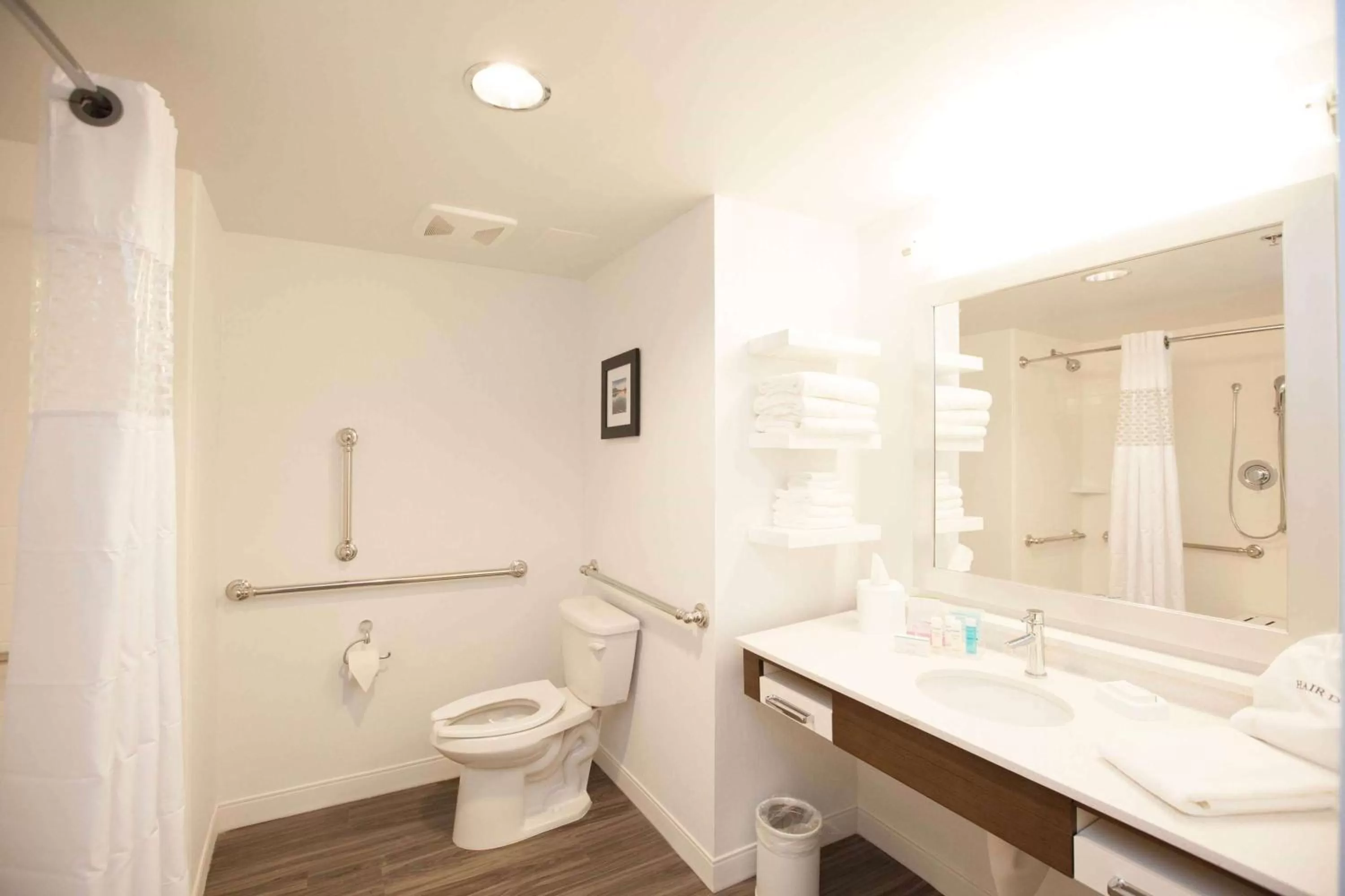 Bathroom in Hampton Inn Emerson - Lakepoint, Ga