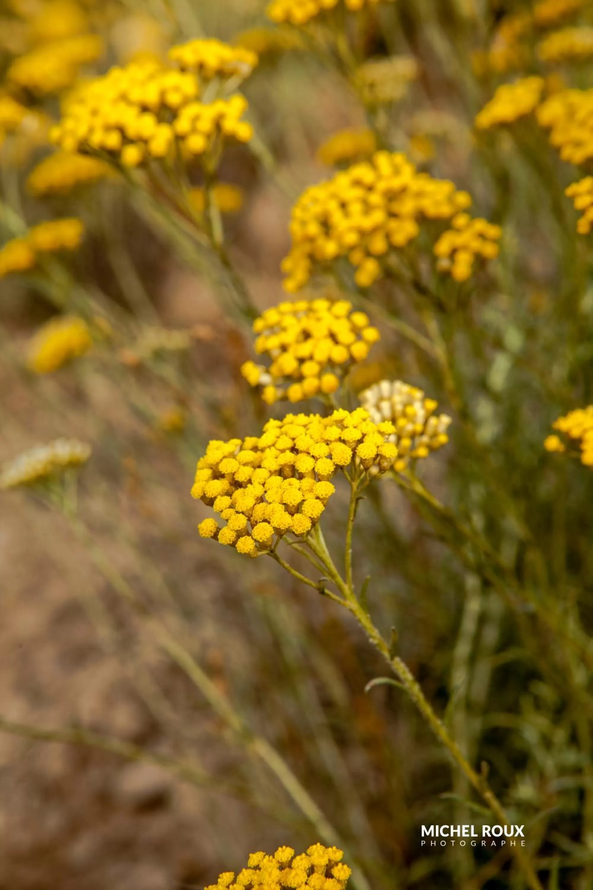 Hôtel A casa di Maria Cicilia