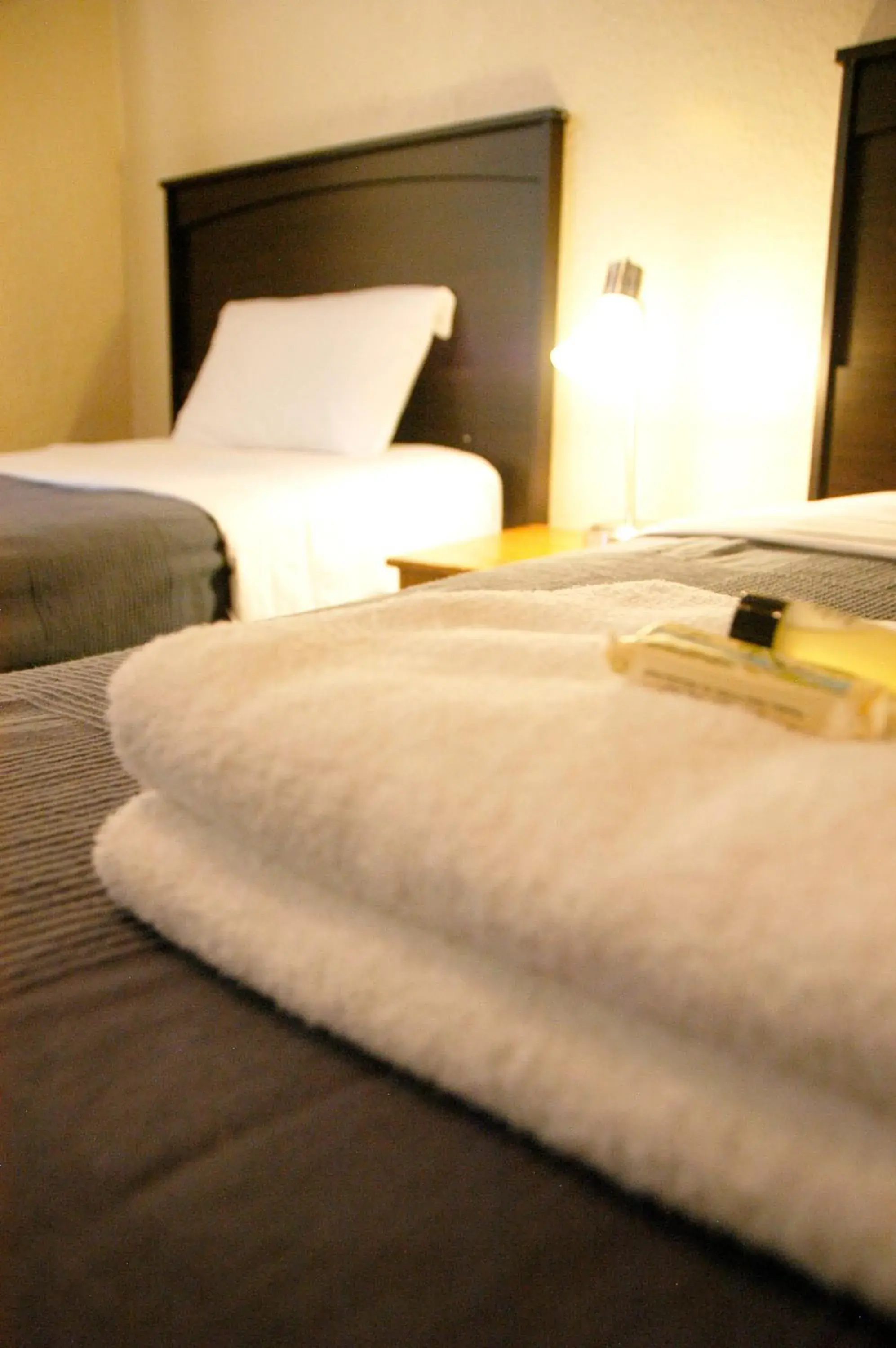 Twin Room with Shared Bathroom in Little Tokyo Hotel Twin Room with Shared Bathroom in Little Tokyo Hotel