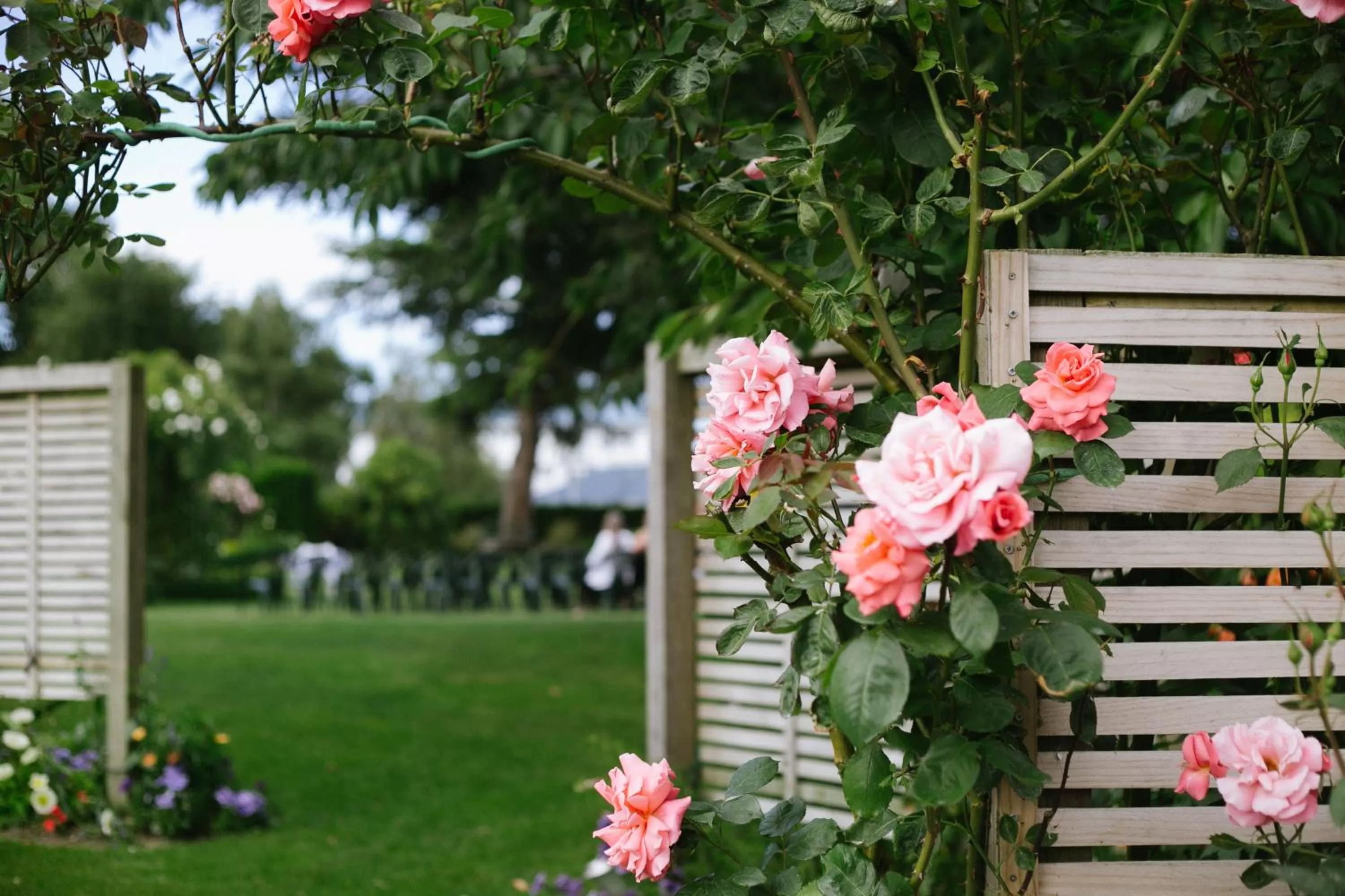 Garden in Hotel Ashburton