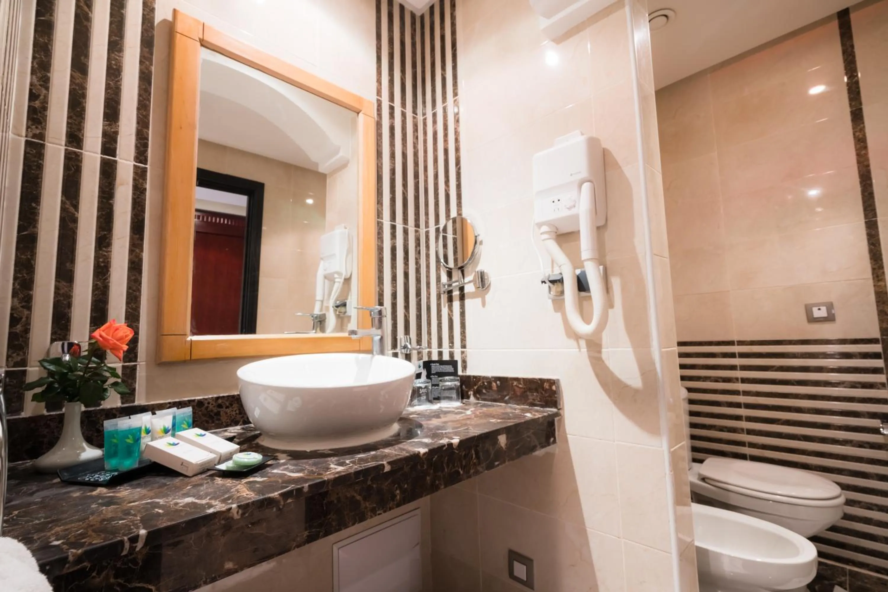 Toilet in Pickalbatros Aqua Fun Club All Inclusive