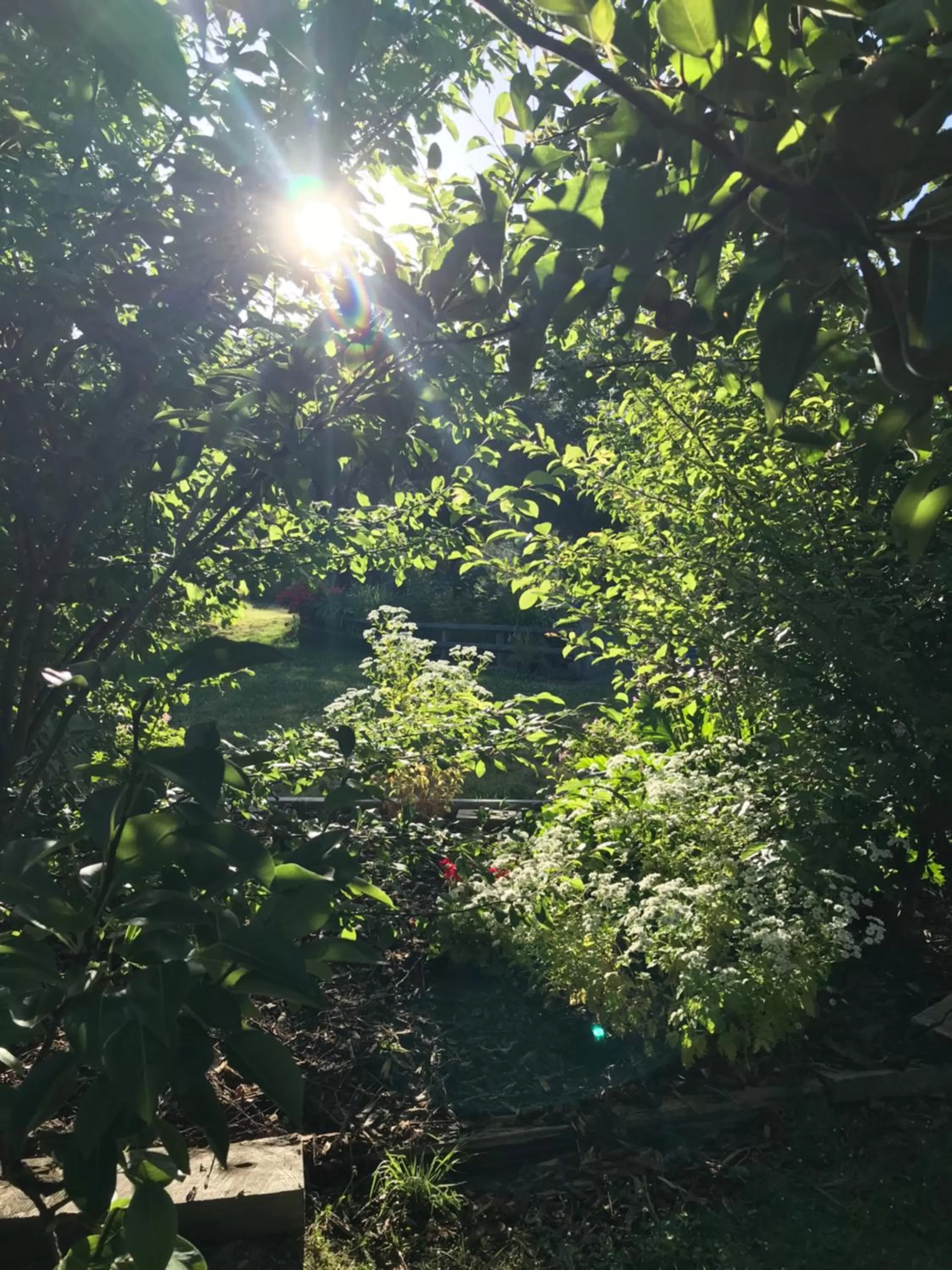 Hillside Bed and Breakfast