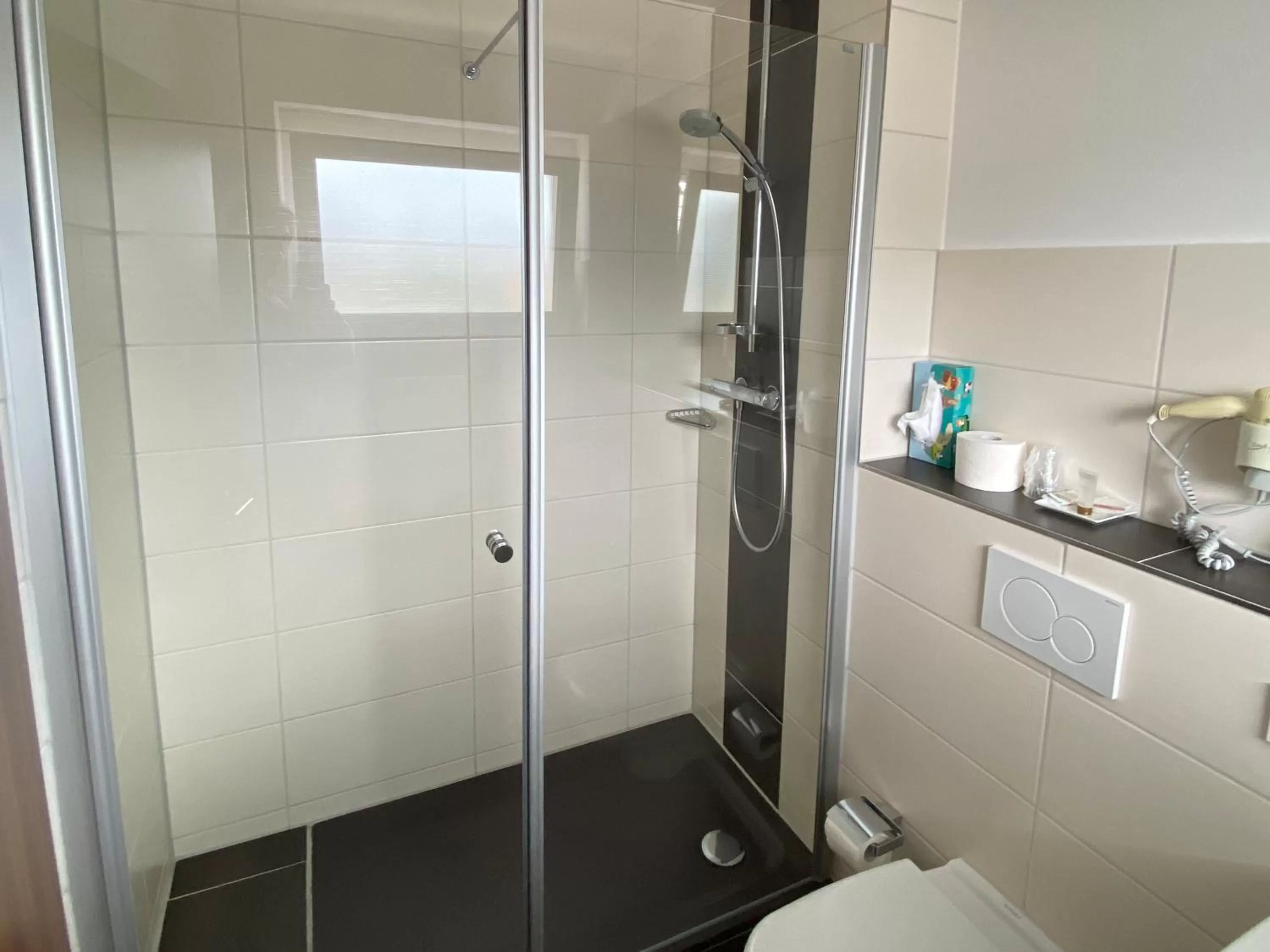 Shower in ZUM ZIEL Hotel Grenzach-Wyhlen bei Basel