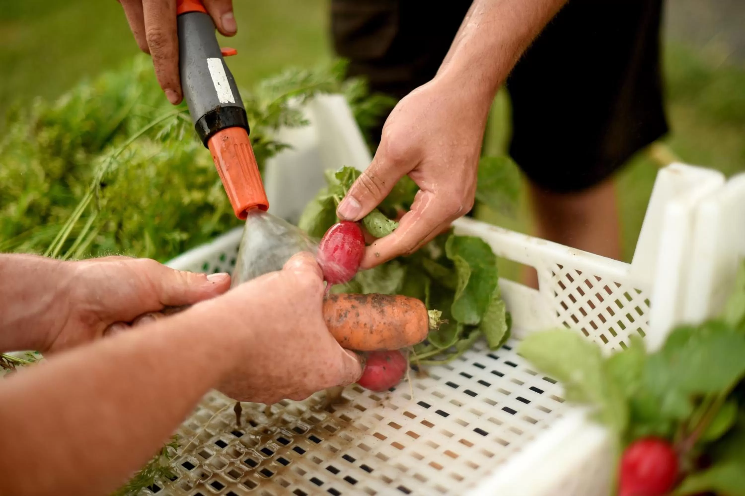 Food and drinks in Kloster Frauenberg