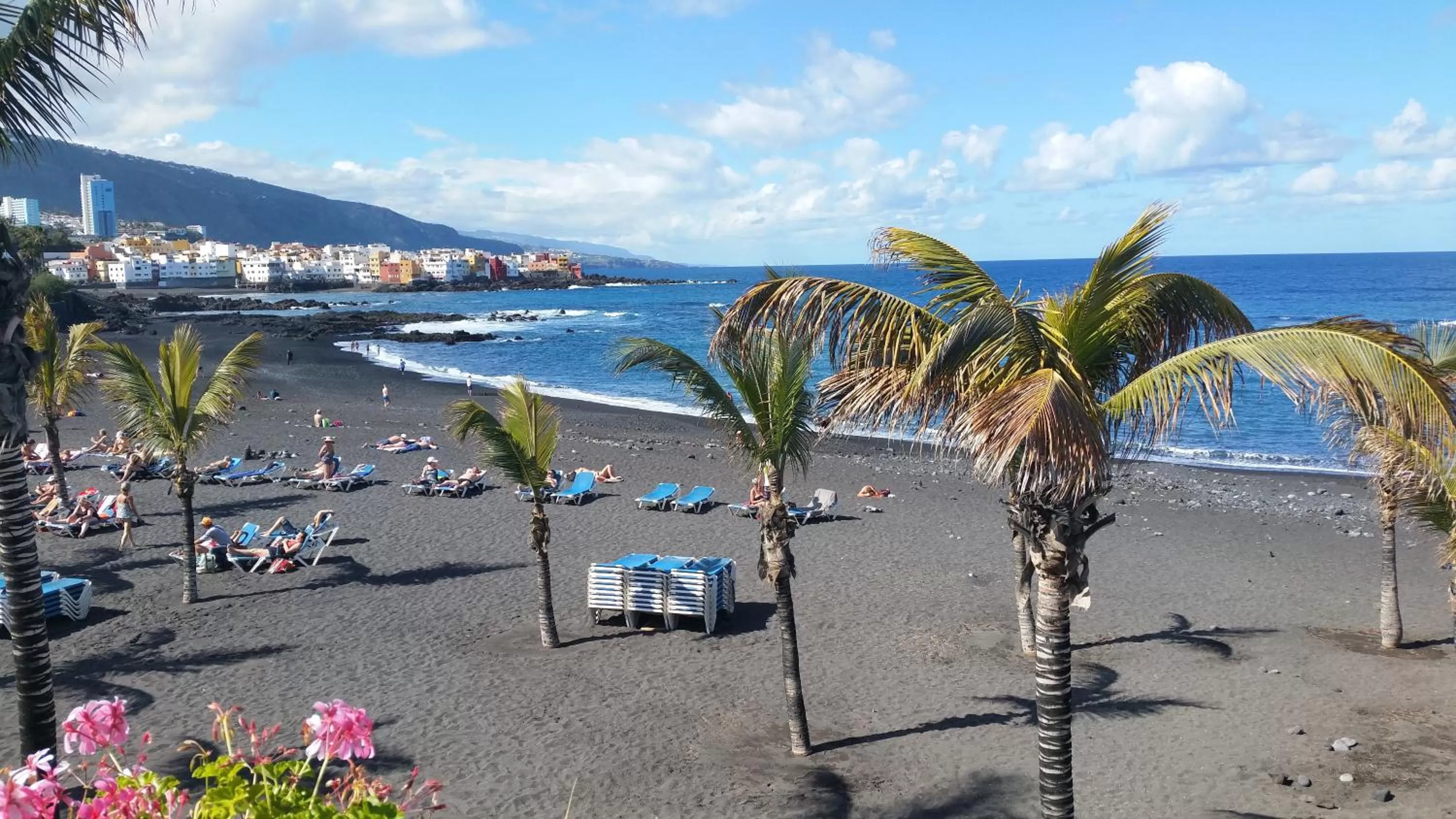 Area and facilities in Hotel Tropical