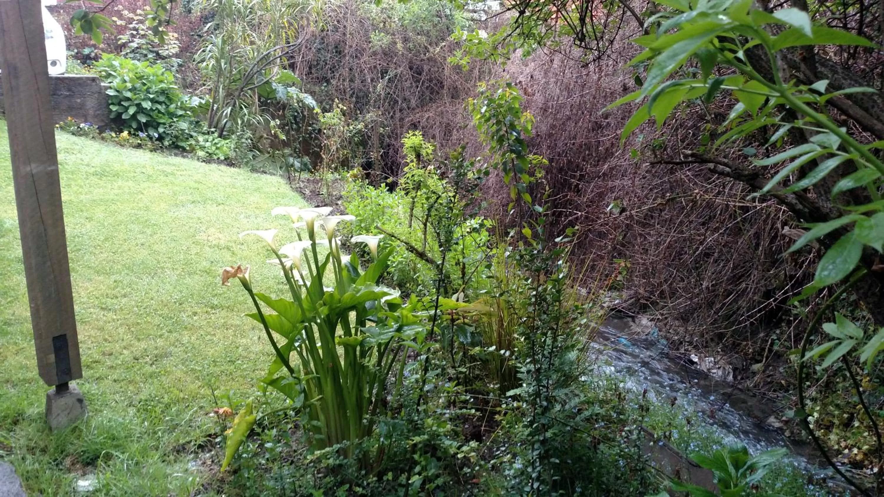 Garden in Omi Kika B&B