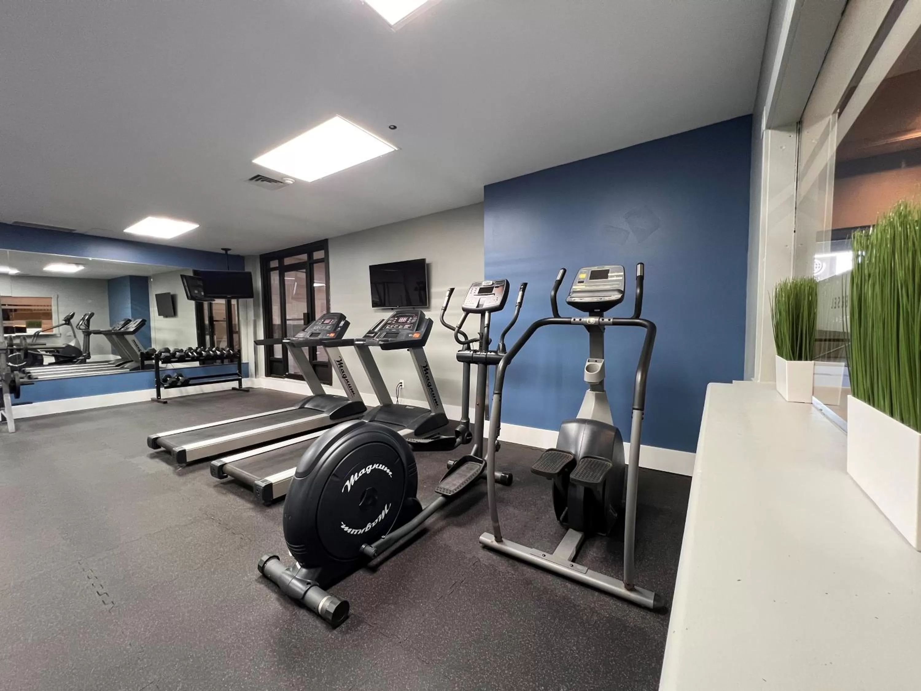 Fitness centre/facilities in Hotel Universel Montréal