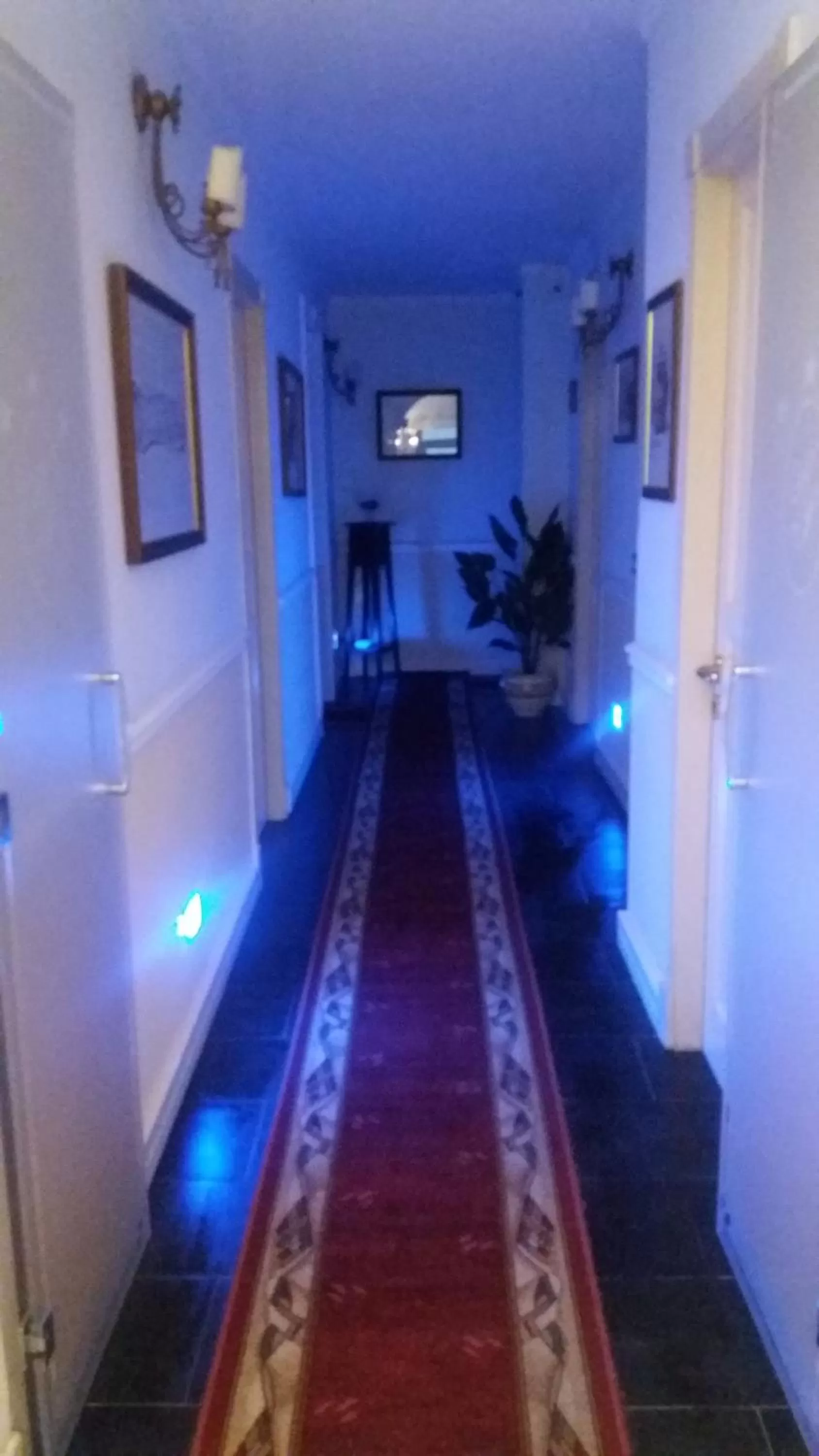 Area and facilities in Hotel Sangiuliano 132 centro storico Catania