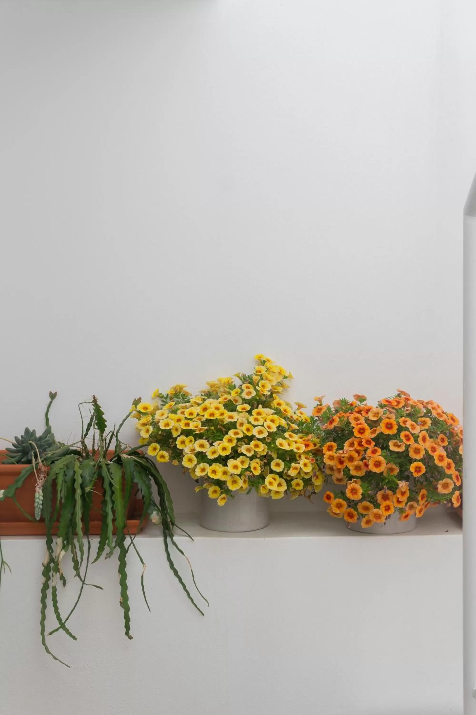 Decorative detail in A Casa de Cima - Cacela Velha