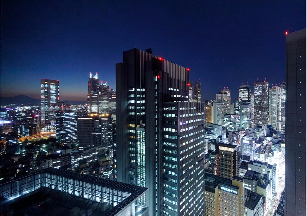 City view in Odakyu Hotel Century Southern Tower