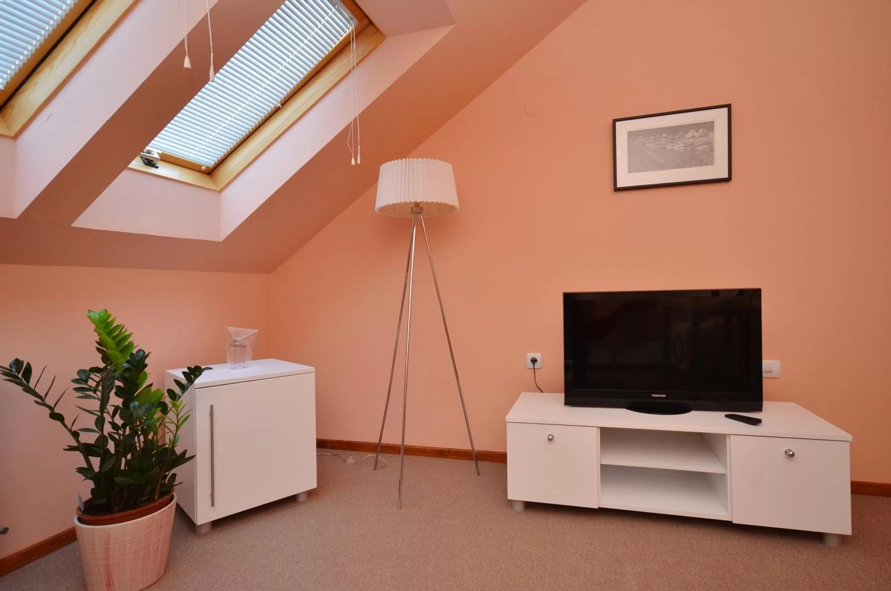 TV and multimedia, TV/Entertainment Center in Art Garni Hotel