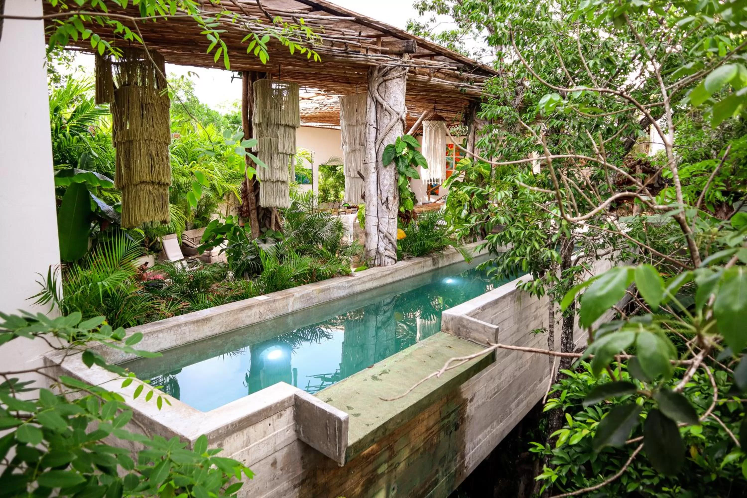 Swimming pool in Orchid House Tulum Jungle