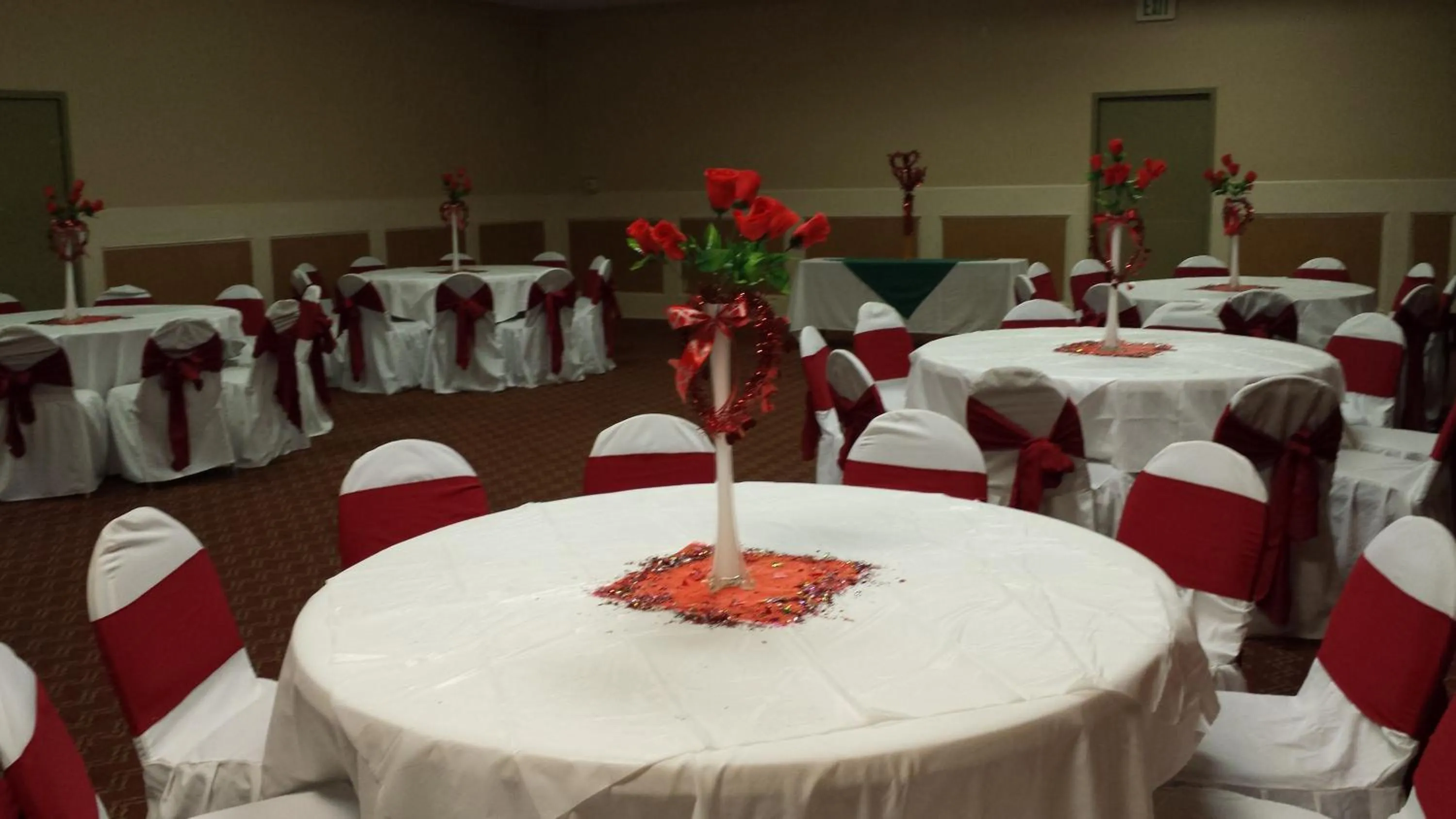 Banquet/Function facilities in Romana Hotel - Houston Southwest
