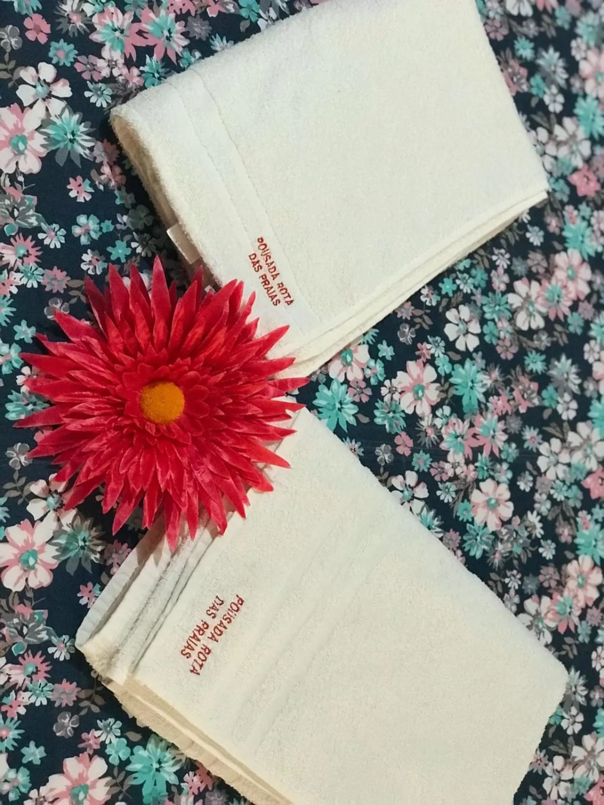 Property Logo/Sign in Pousada Rota das Praias