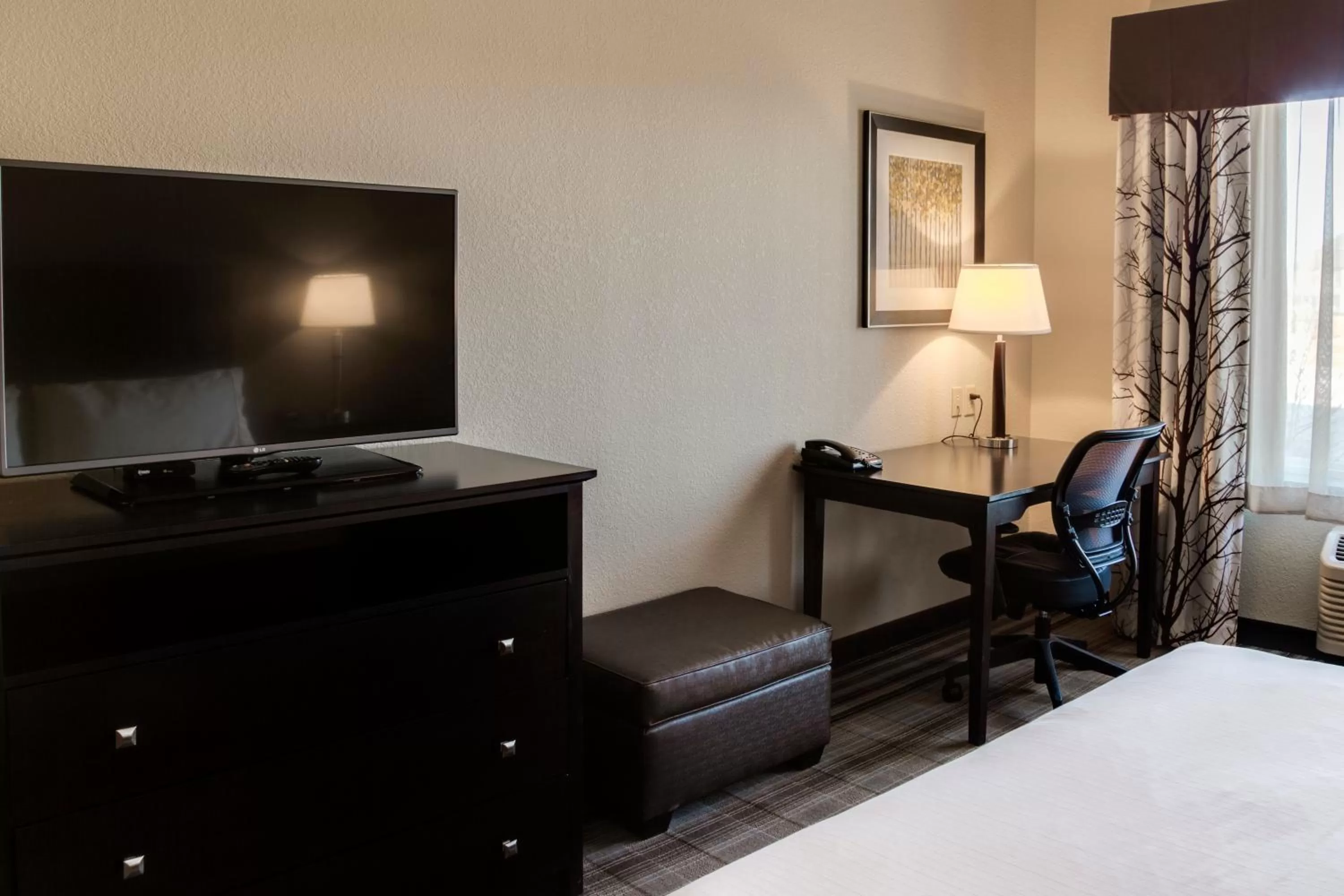 TV and multimedia, Bed in Holiday Inn Express & Suites Nevada by IHG