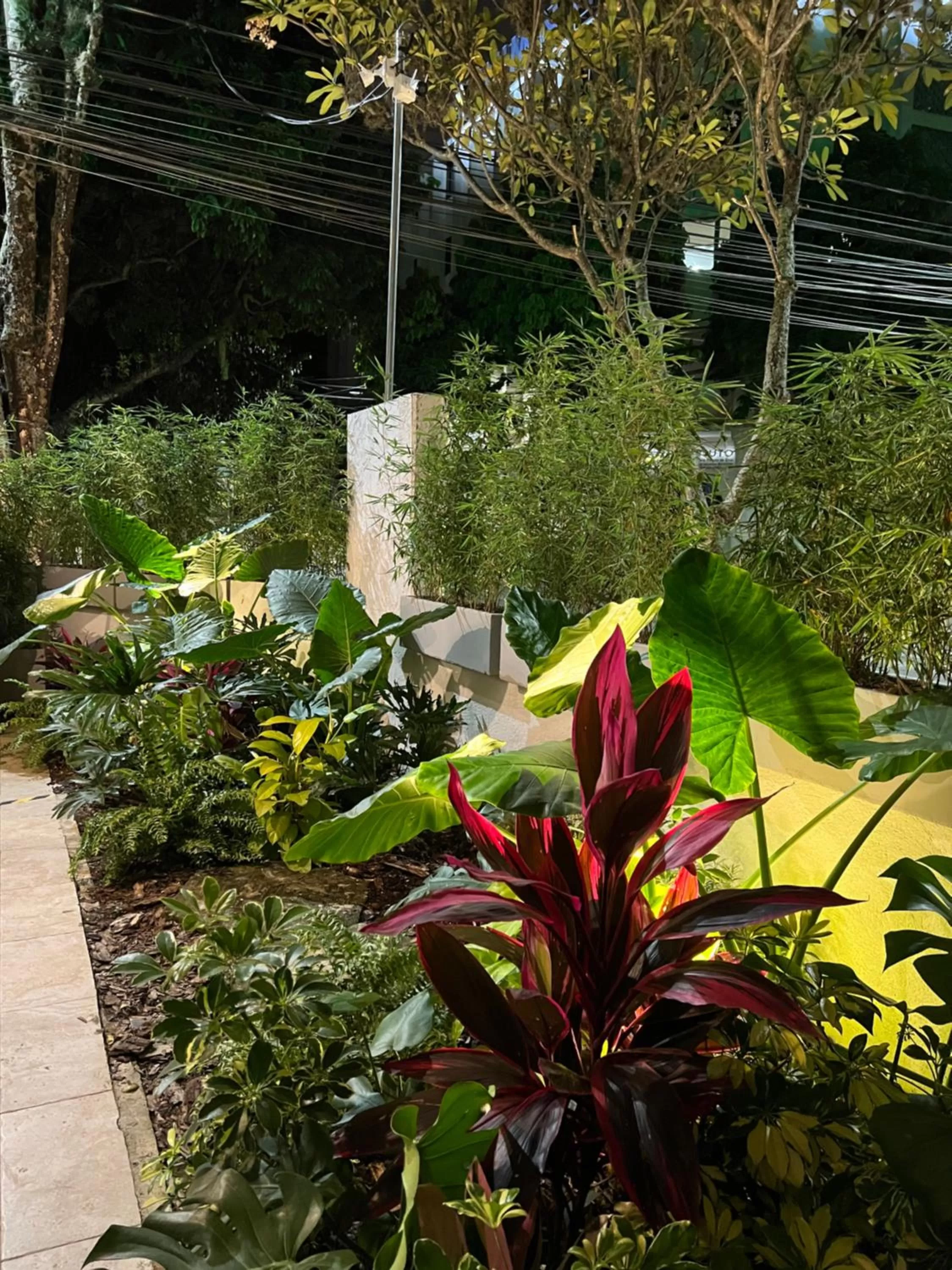 Garden view, Pool View in HOTEL 9.5 SAN FERNANDO