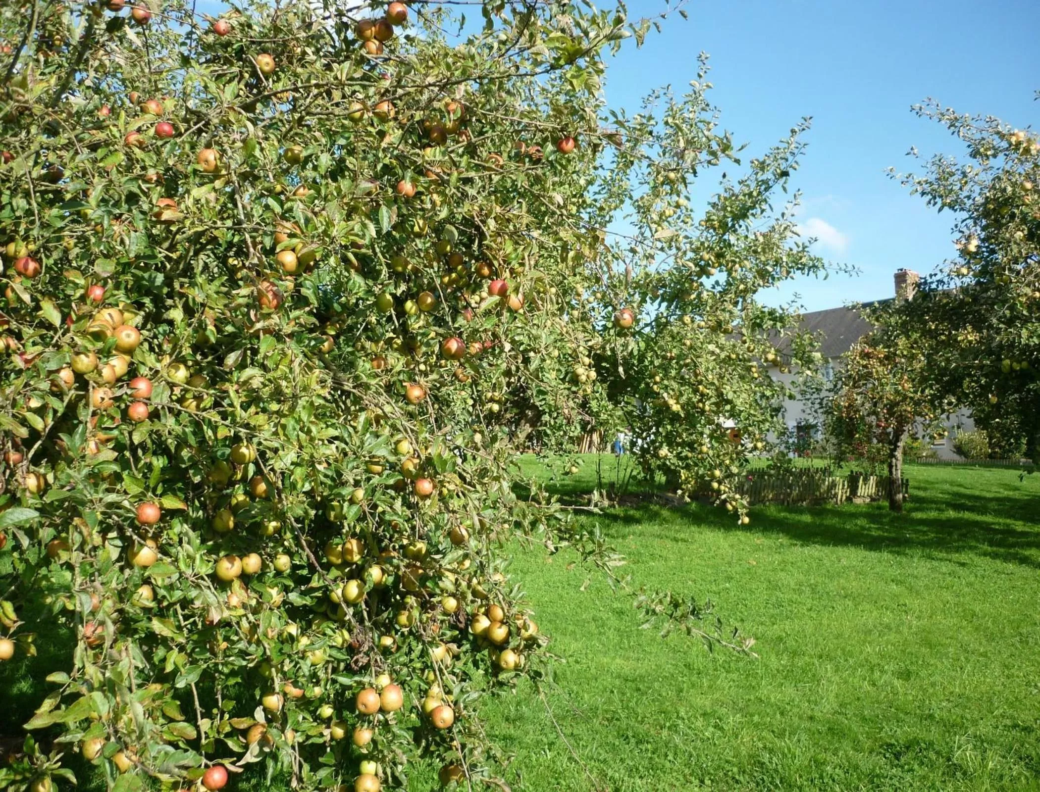 Facade/entrance in La Parisiere