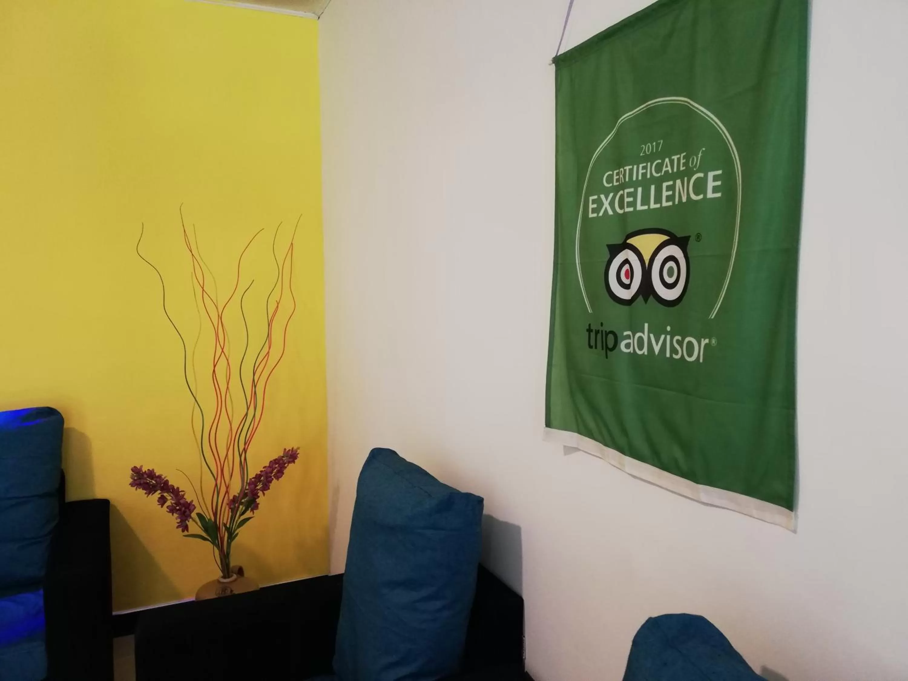 Certificate/Award in Ella Inn