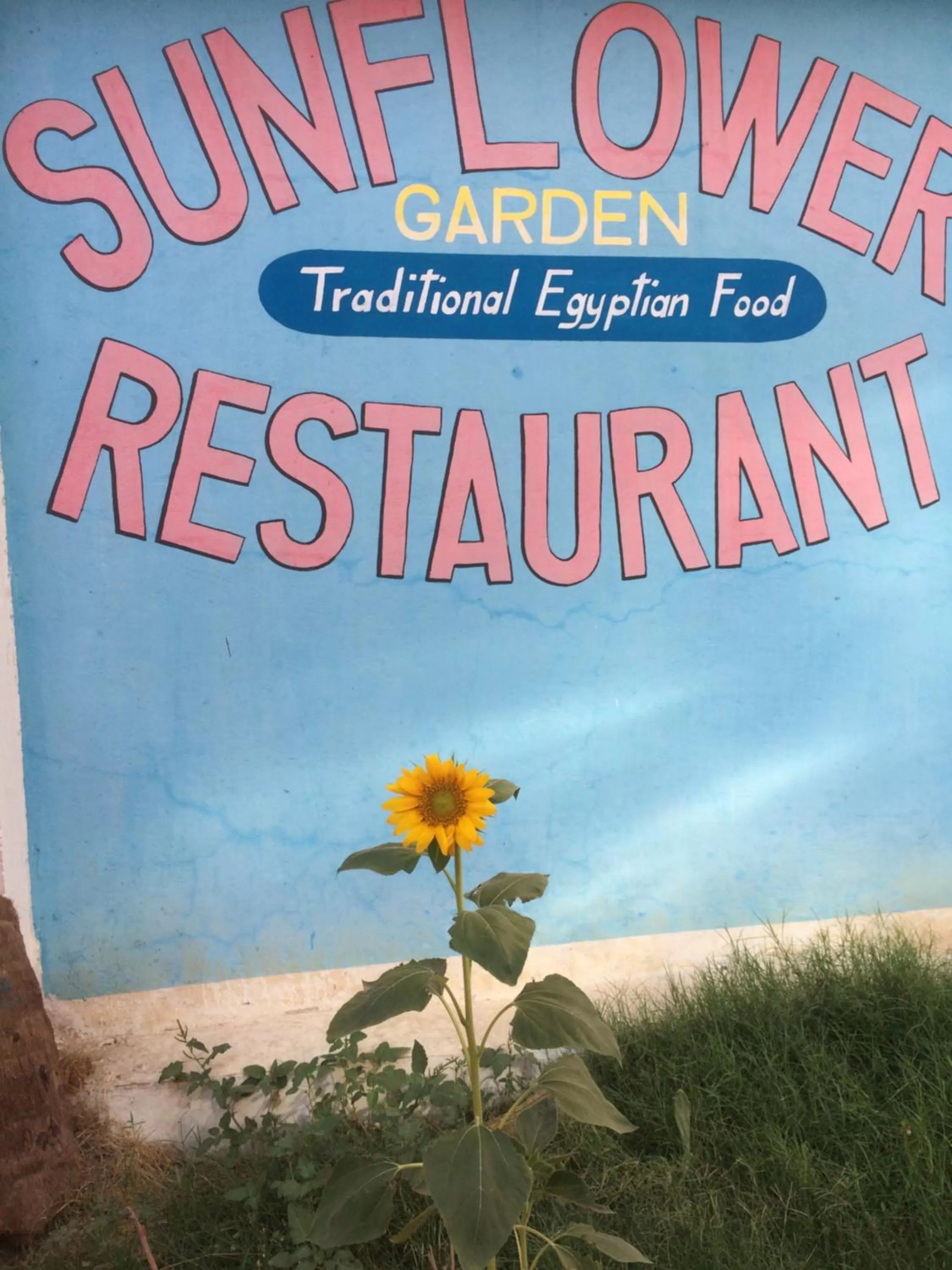 Sunflower Guest House Luxor West Bank