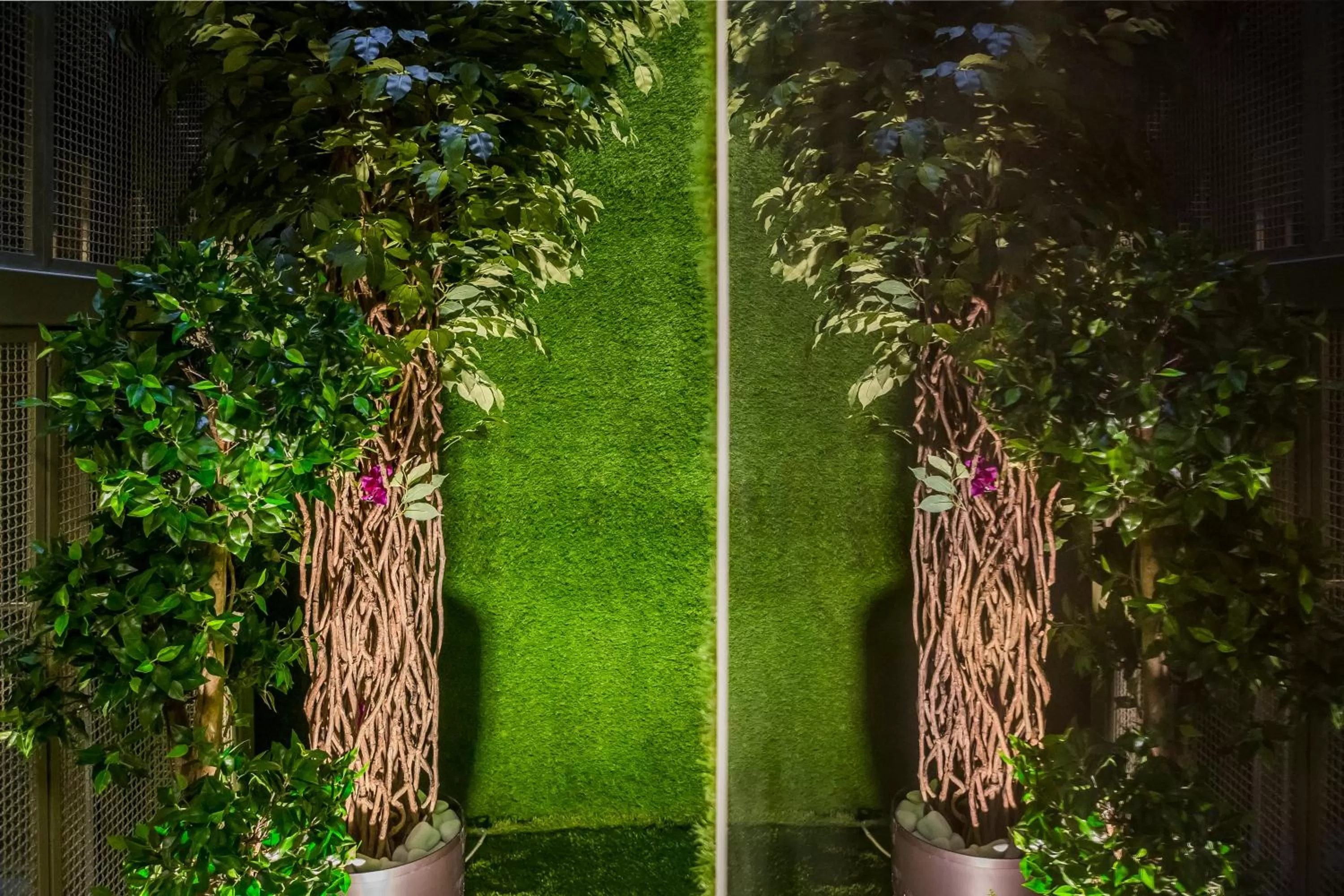 Property building in Royalty Hotel Athens