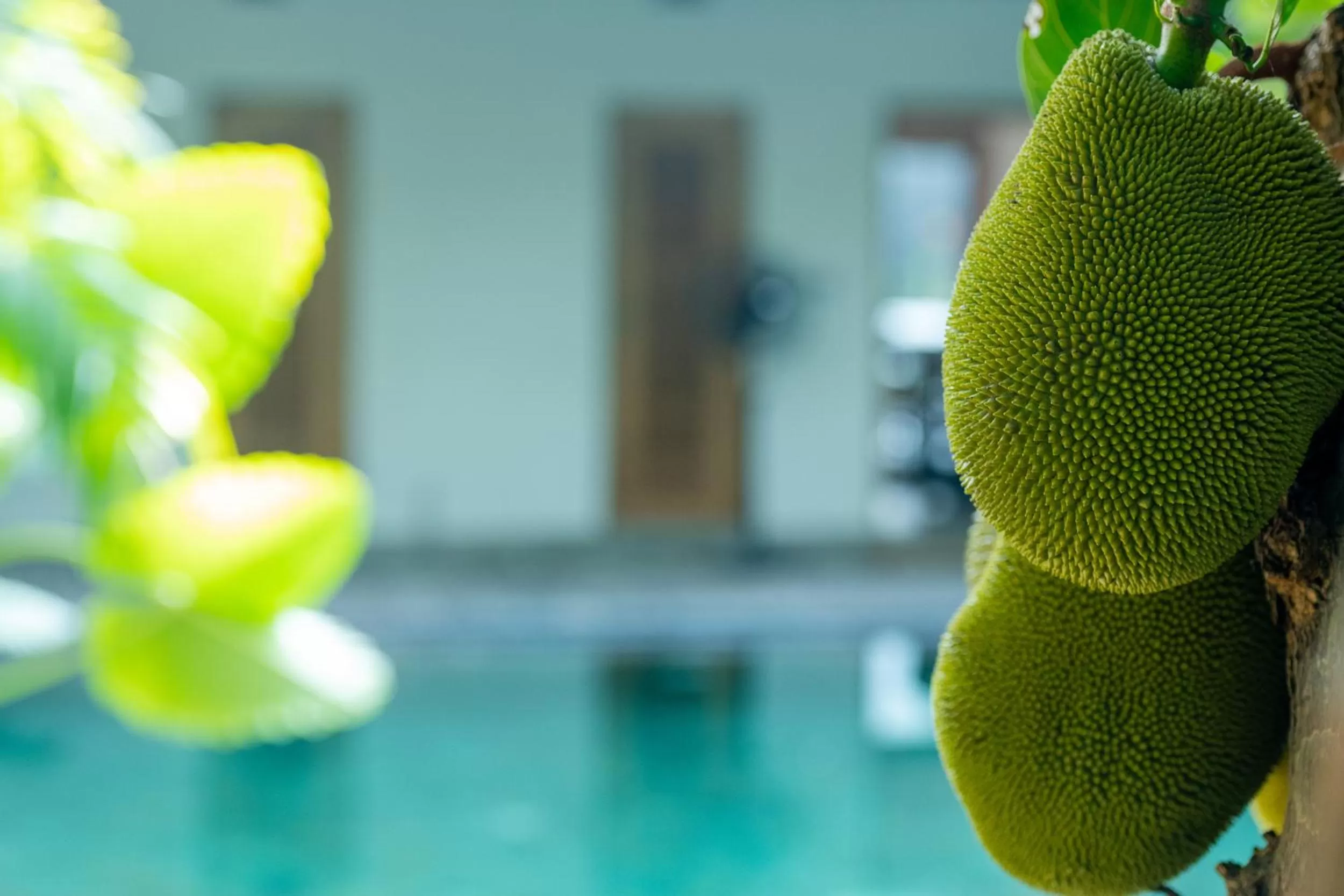 Aryana Boutique Hotel