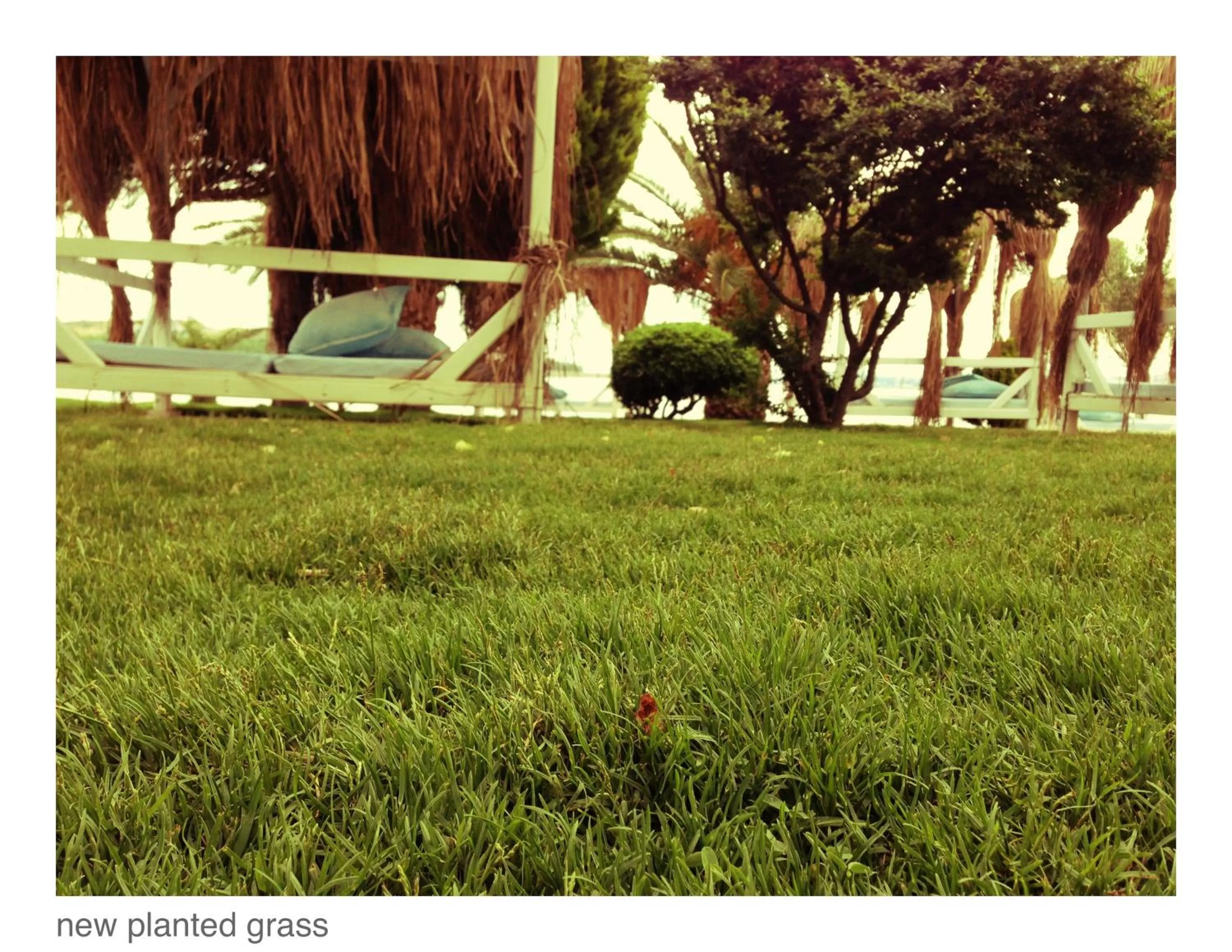 Garden in Hotel Erol - Adult Only