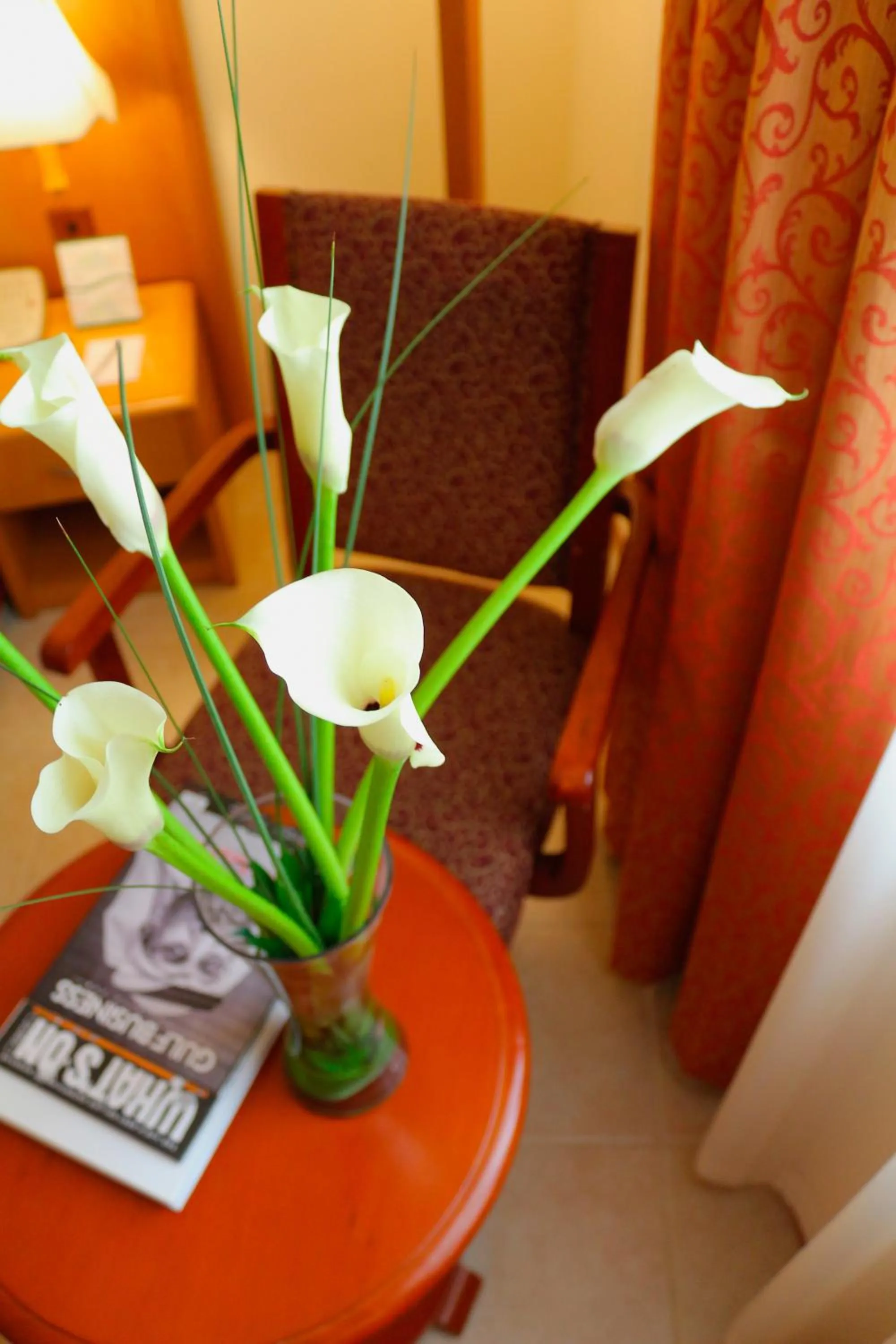 Decorative detail in Sharjah Premiere Hotel & Resort