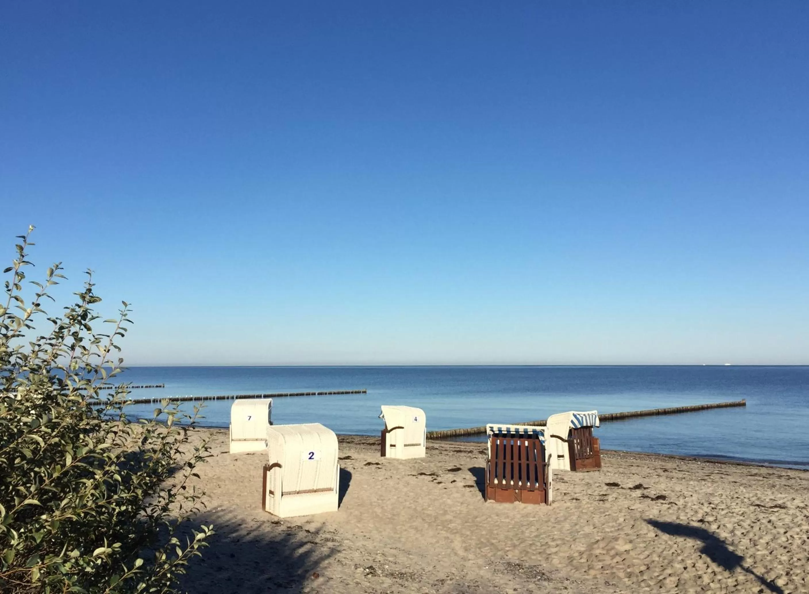 Beach in Aparthotel Waterkant Suites - Fewos am Meer mit SPA