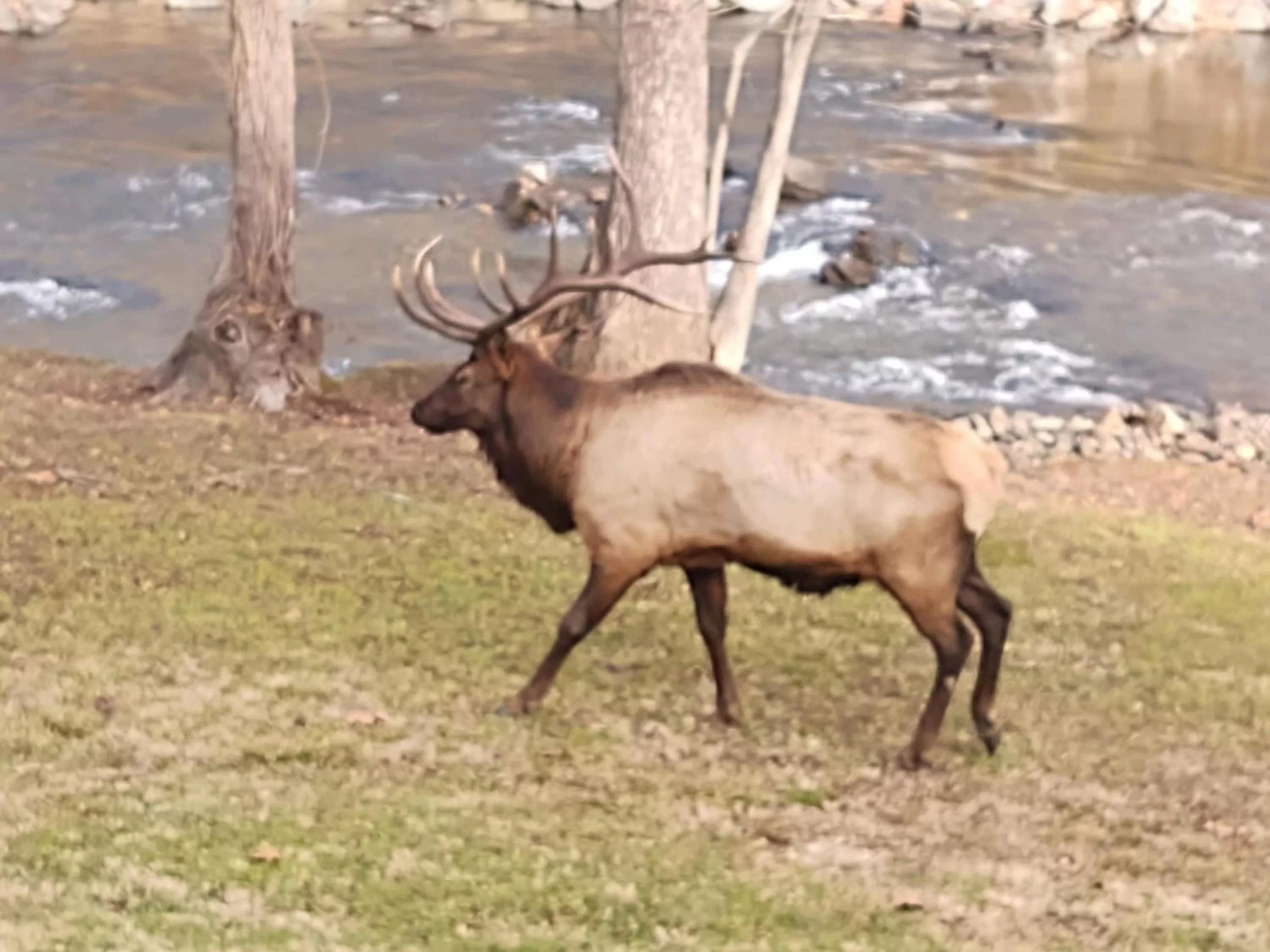 River view in Quality Inn Cherokee Riverside