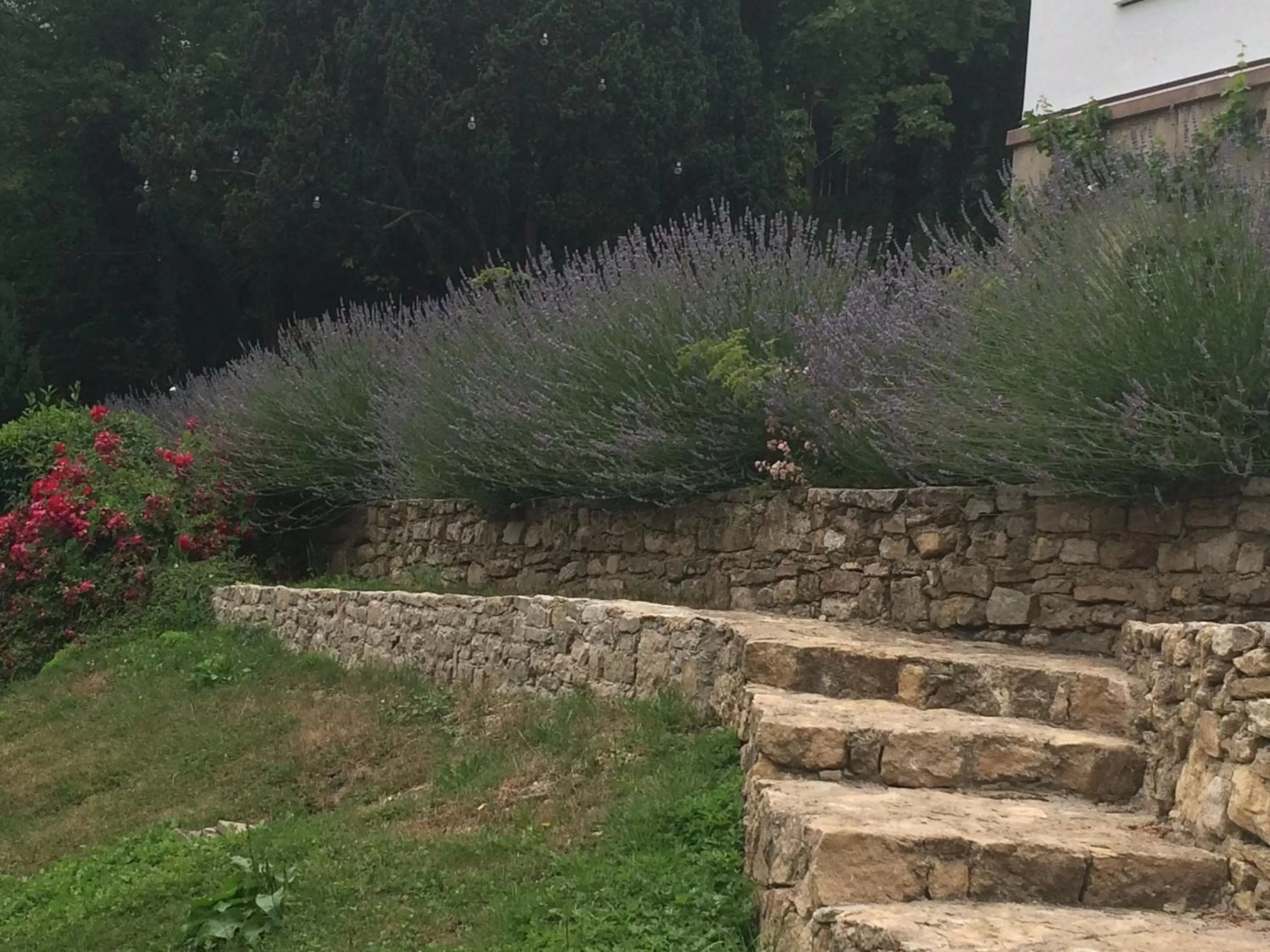 Garden in Traumparadies