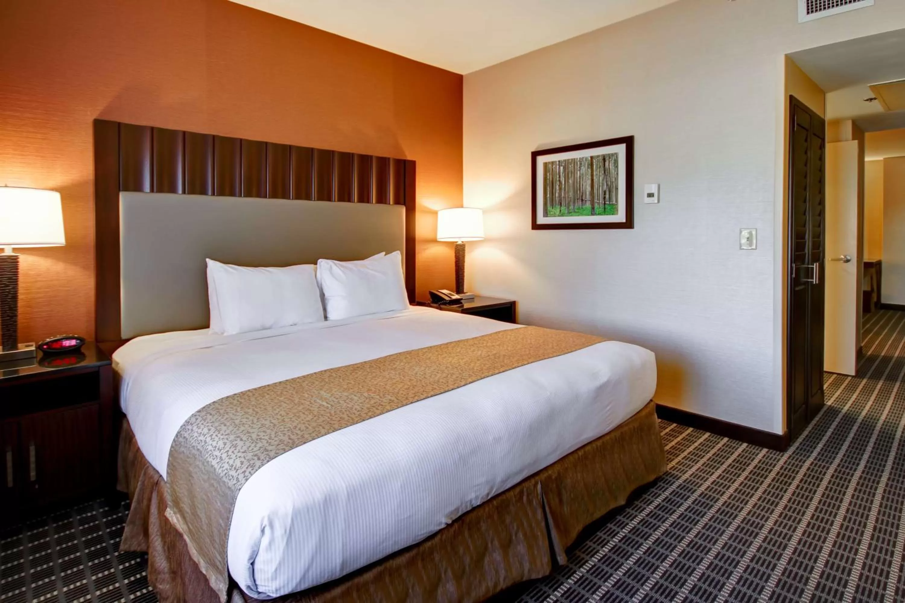 Photo of the whole room, Bed in DoubleTree by Hilton Hotel Flagstaff
