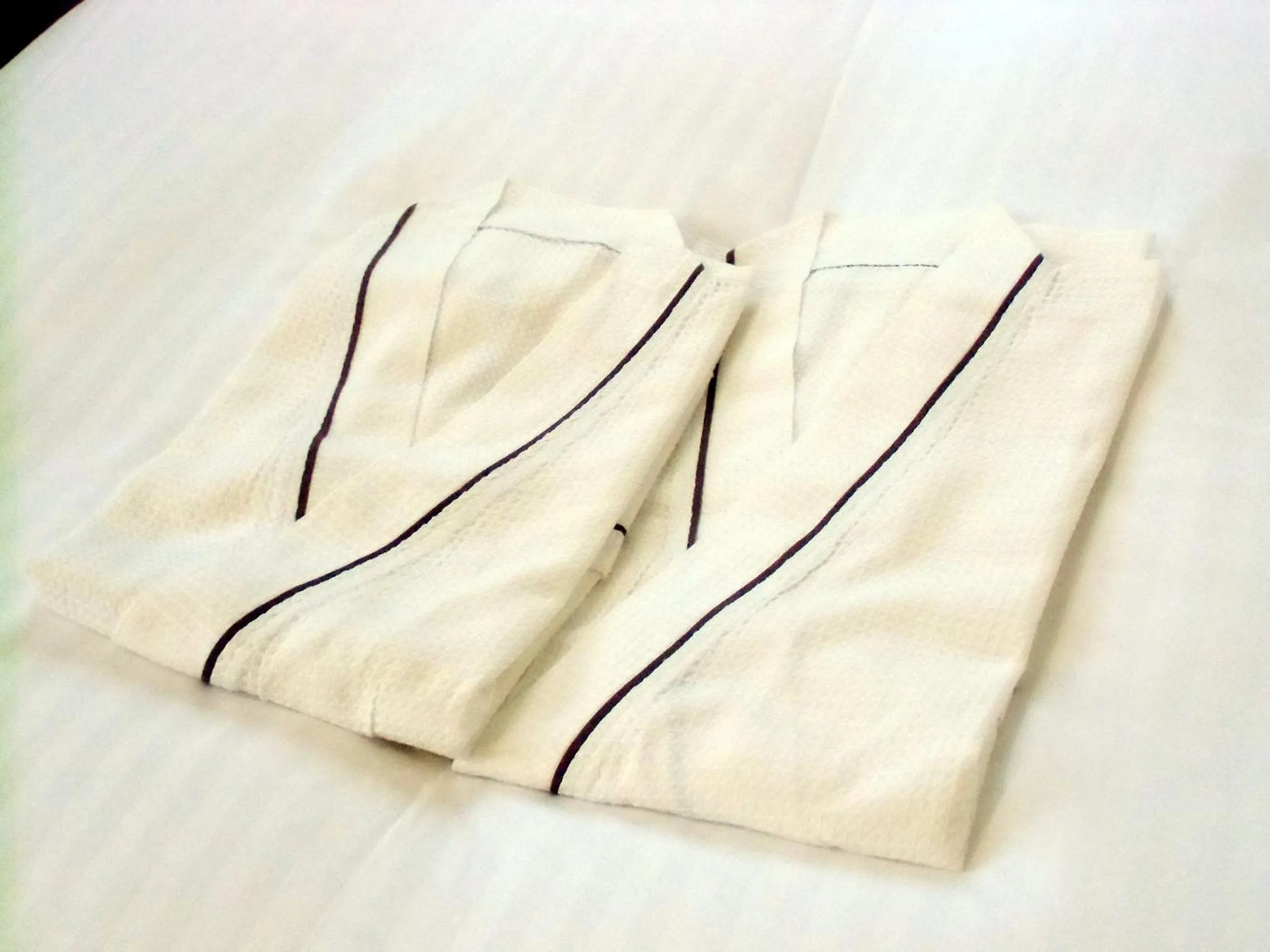 Area and facilities in Hotel Green Pacific