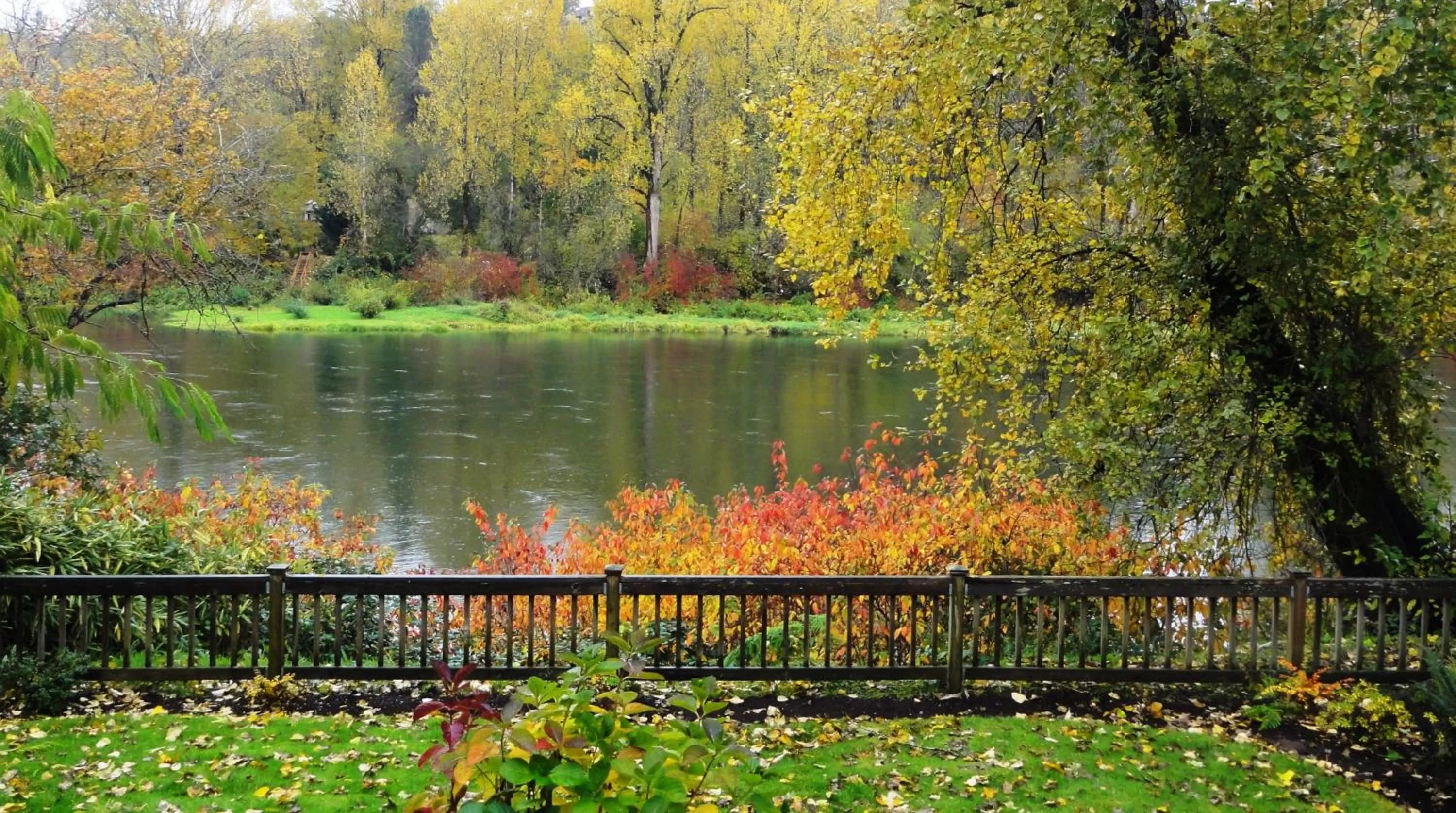 Other in Lewis River Inn