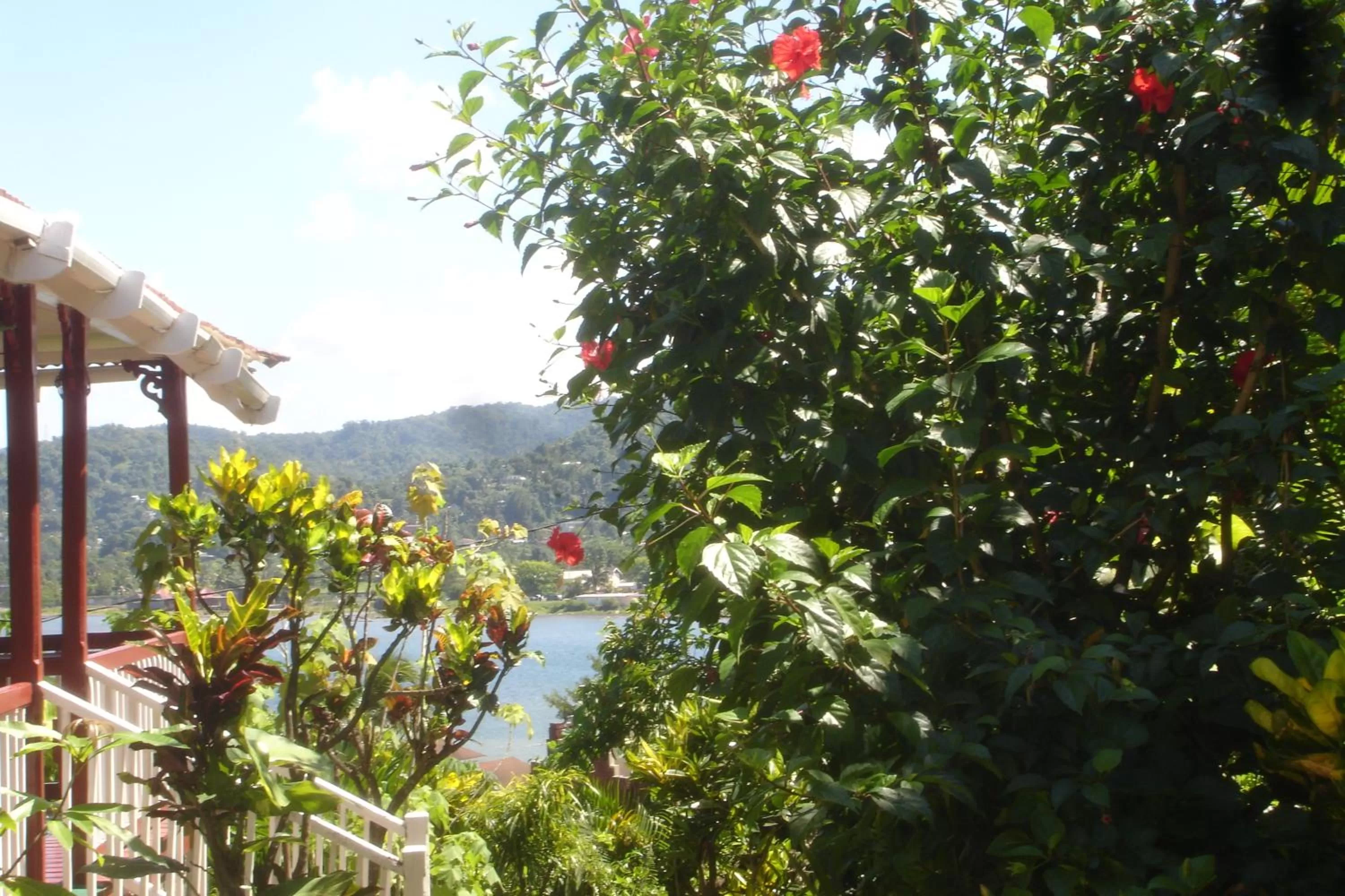 View (from property/room) in Finjam Cottage