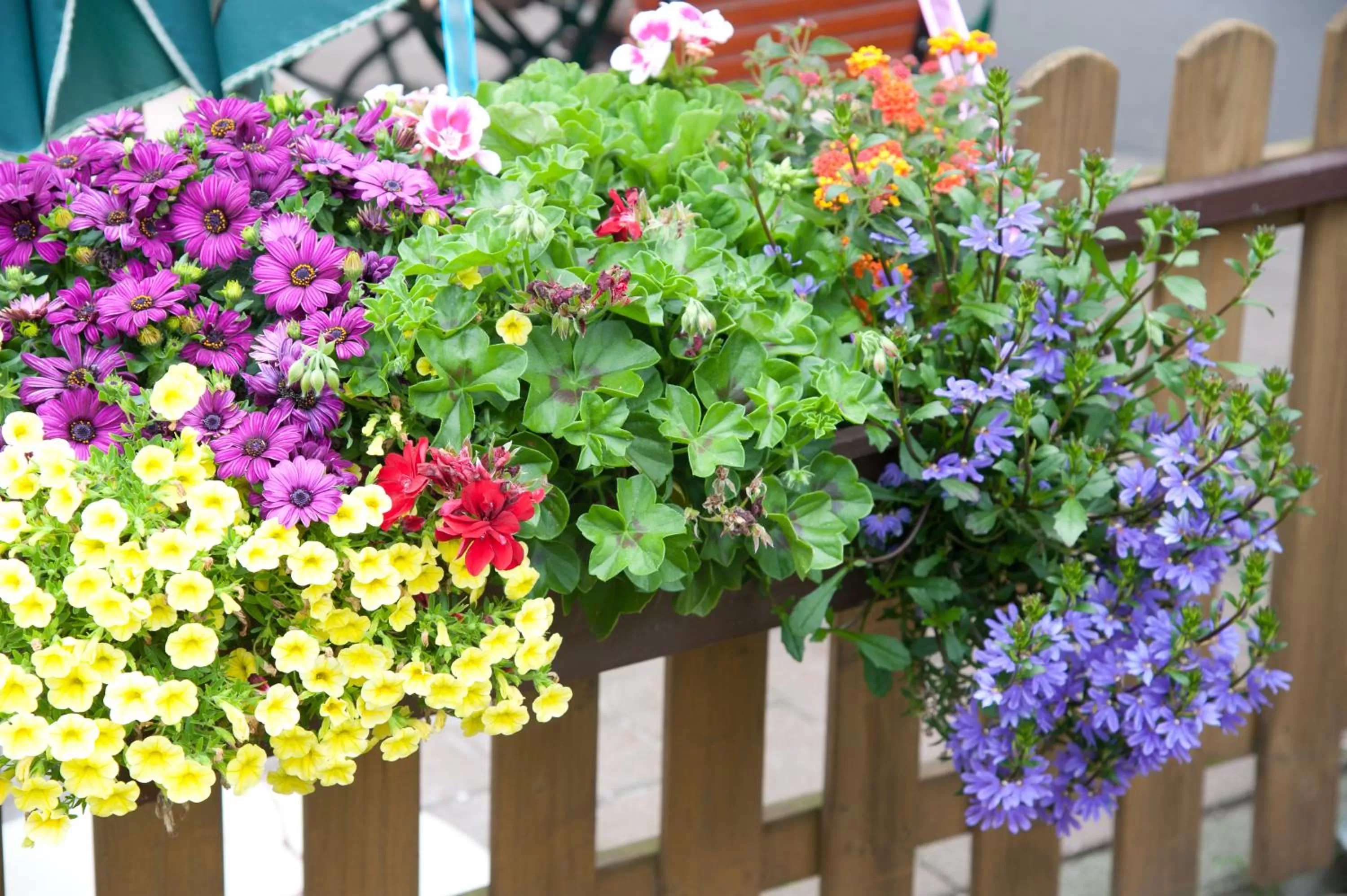 Decorative detail in Hotel Haus Mühlbach