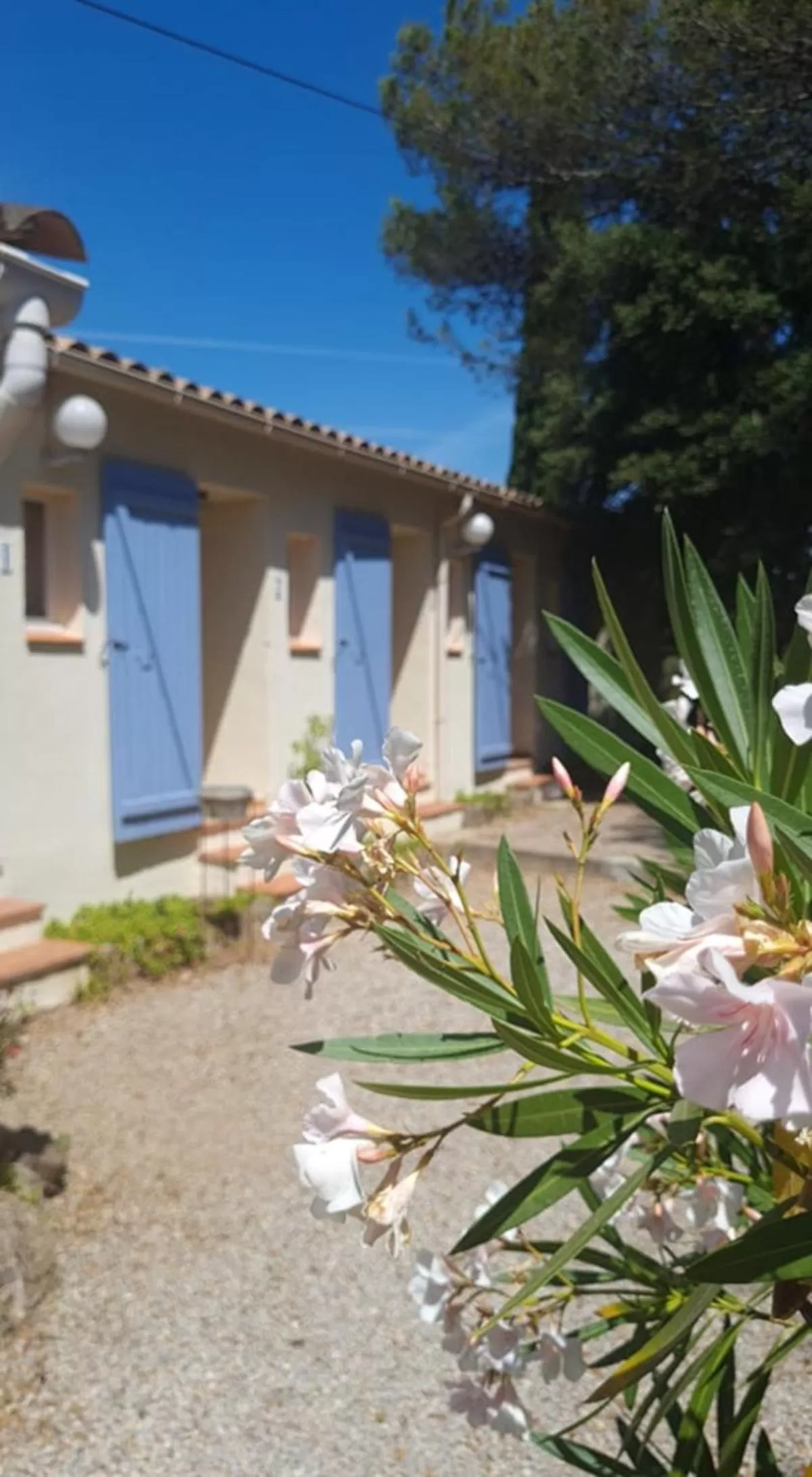 Property Building in Le Relais Des Lavandins