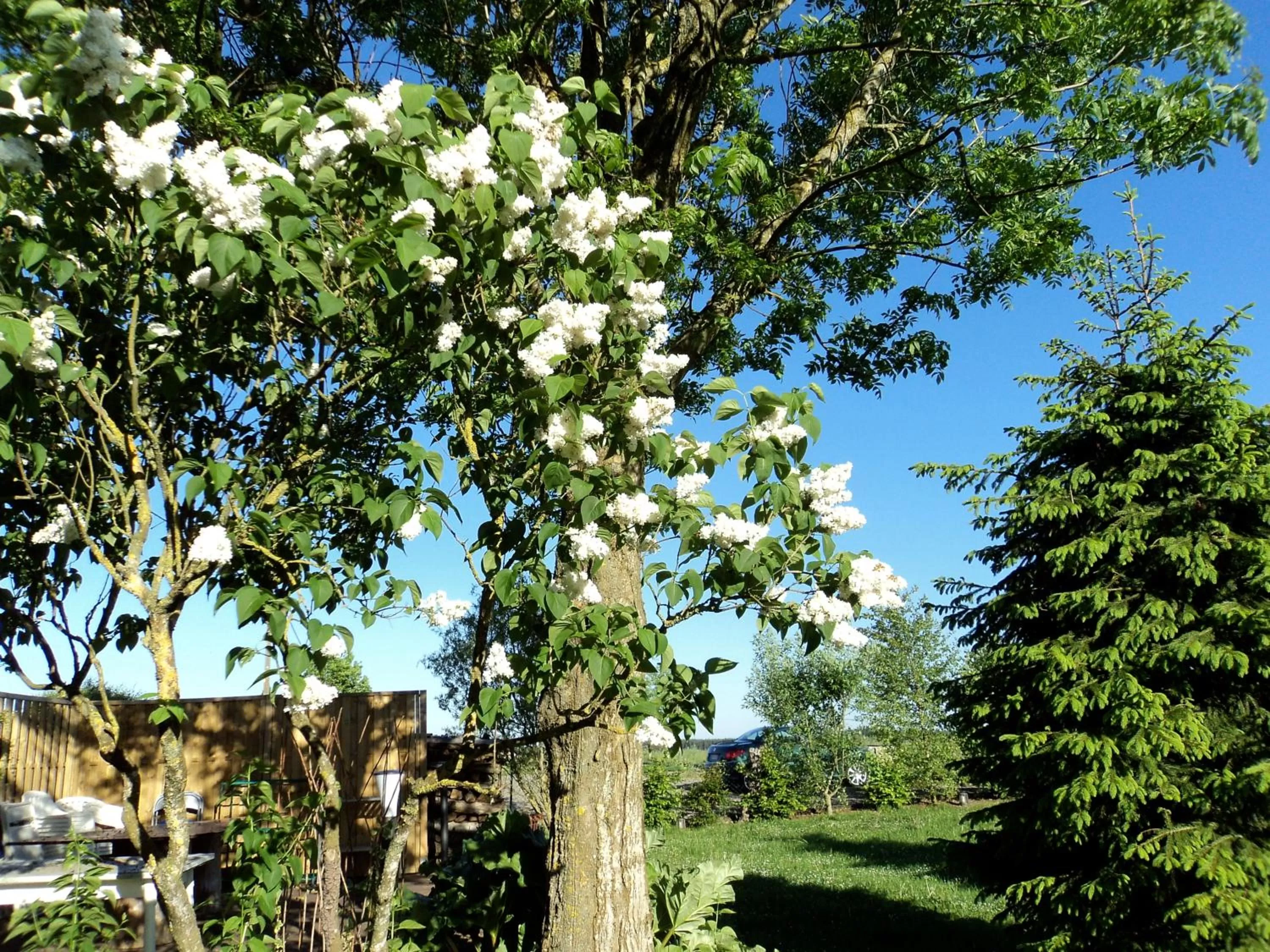 Spring in B&B La Niouche