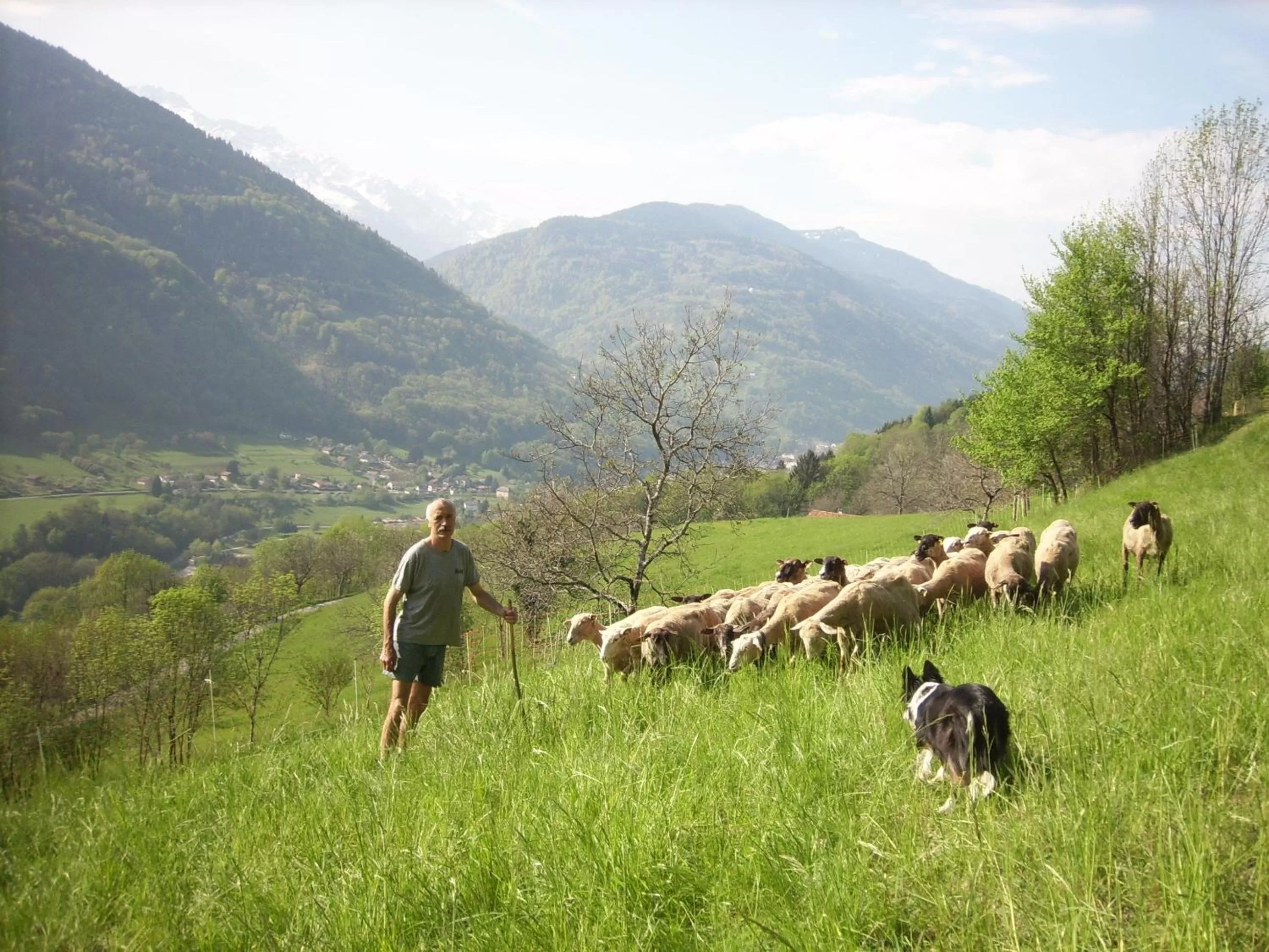 View (from property/room) in Ferme Auberge du Bessard