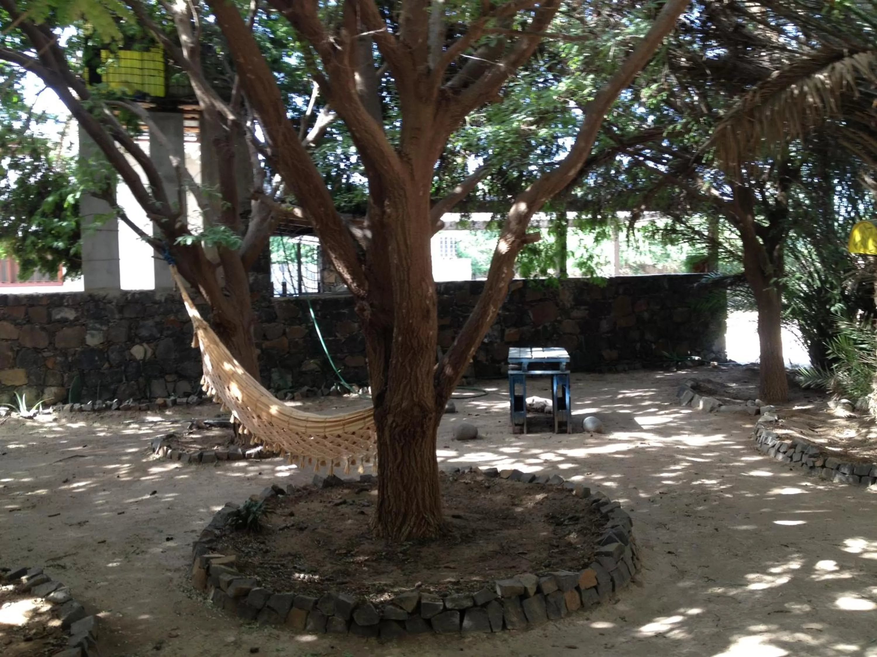 Garden in Villa Morabeza Guest House