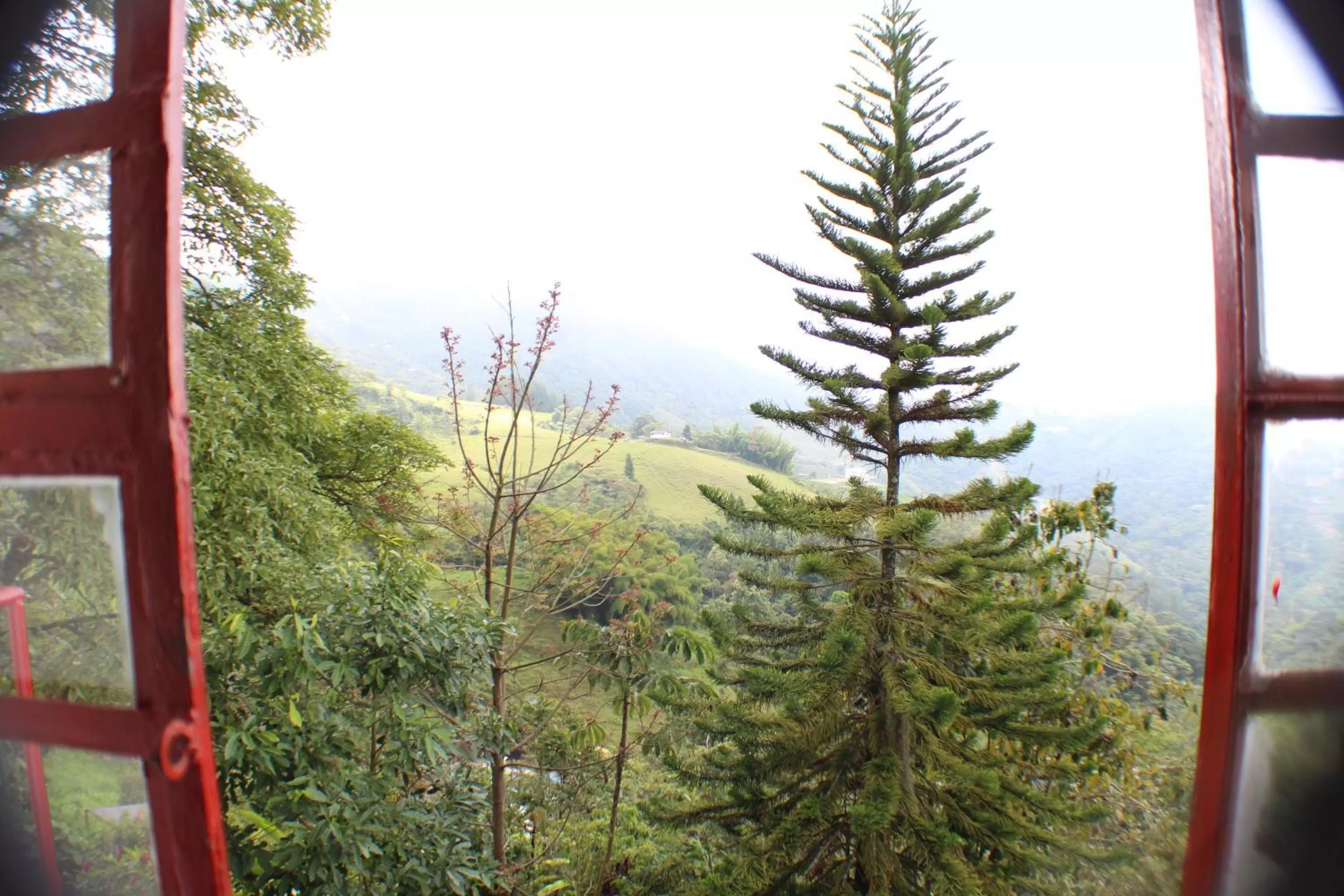 Natural landscape in Eco Lodge La Juanita