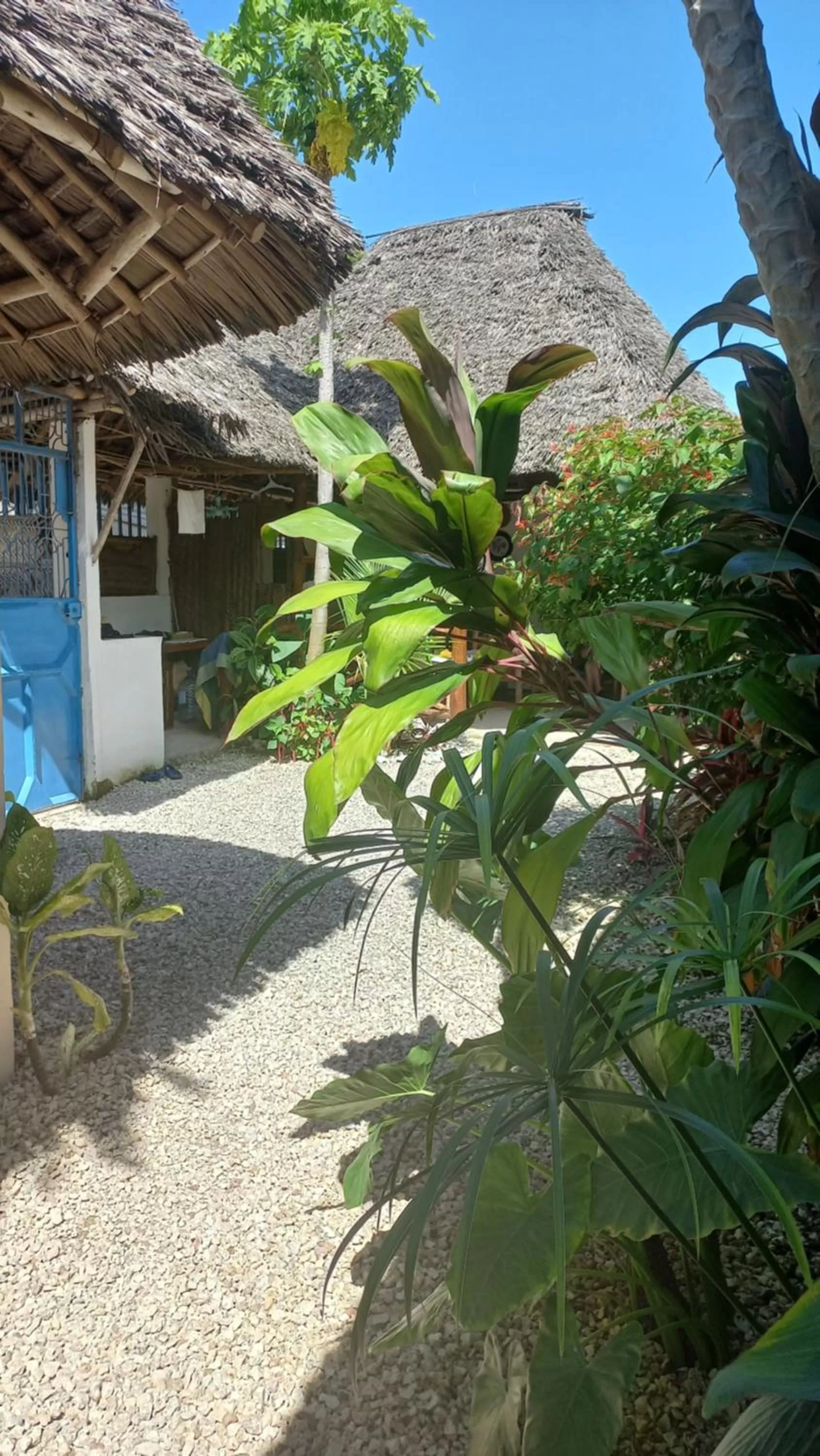 Property Building in MaNa Nungwi