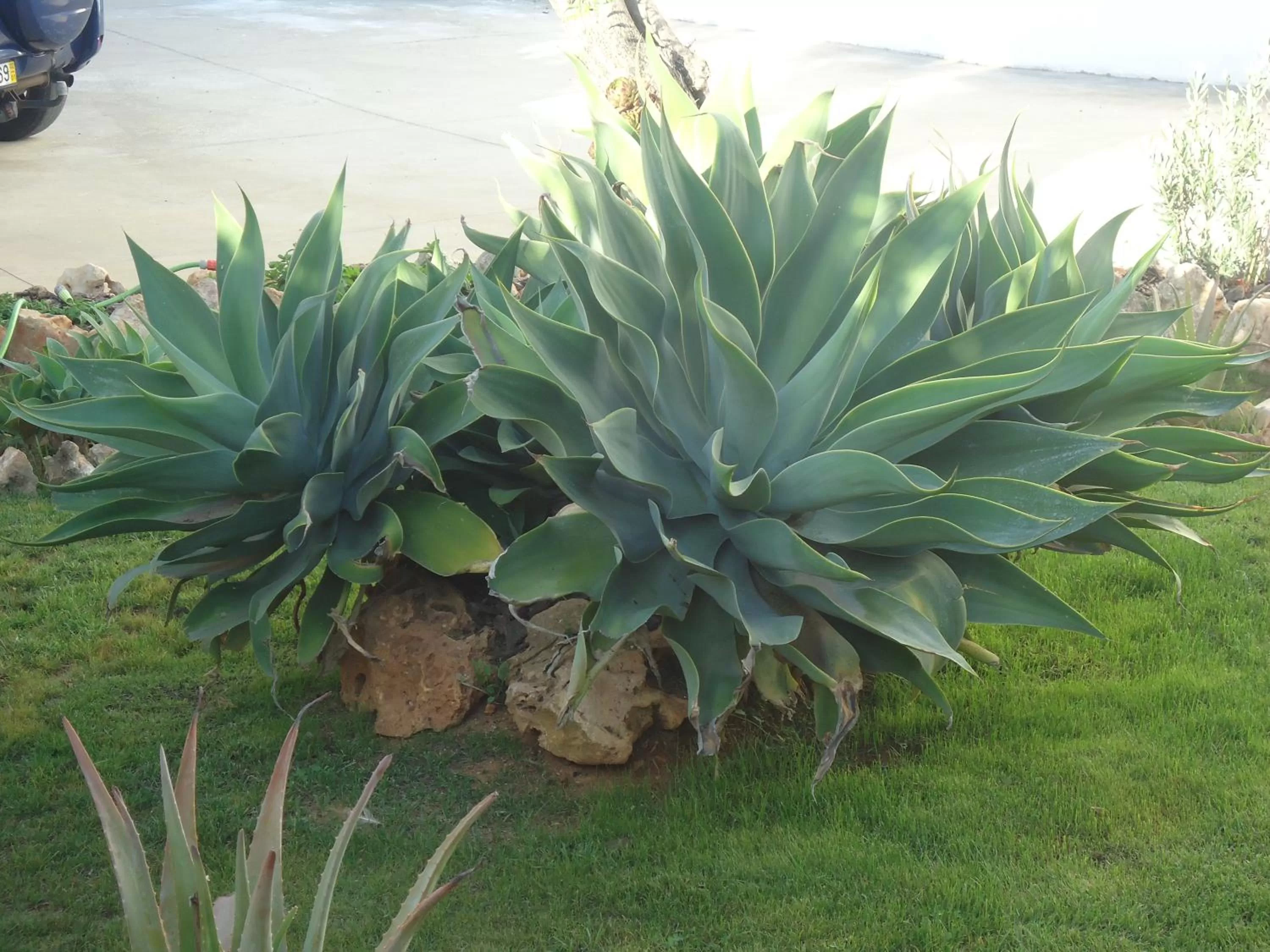 Property building in VIVENDA L'OLIVIER